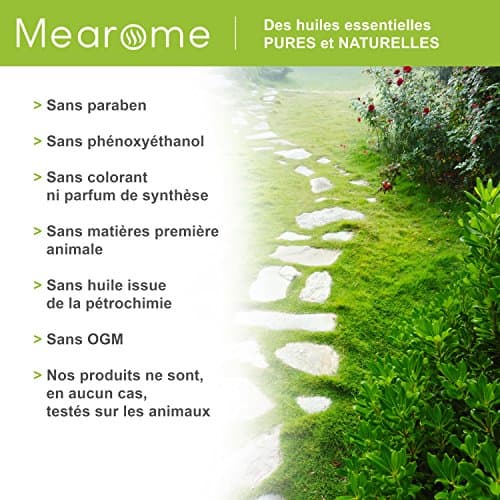 Huile Essentielle de CITRONNELLE de JAVA BIO - Cymbopogon Winterianus - Distillée en FRANCE - Mearome - 30 ml - 100% Pure et Naturelle, HEBBD, HECT
