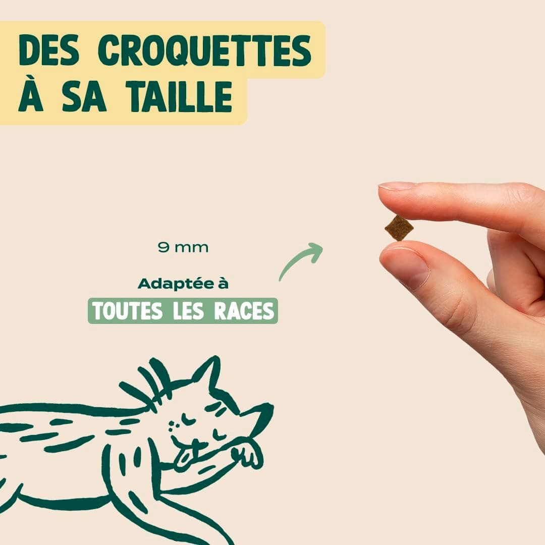 FRANKLIN – Croquettes Chat Senior – 65% de Poulet – 1 kg | Sans Céréales – Riche en Protéines – Soutien des Reins et Articulation – Digestion Facile – Taille 9mm – Fermeture Intégrée