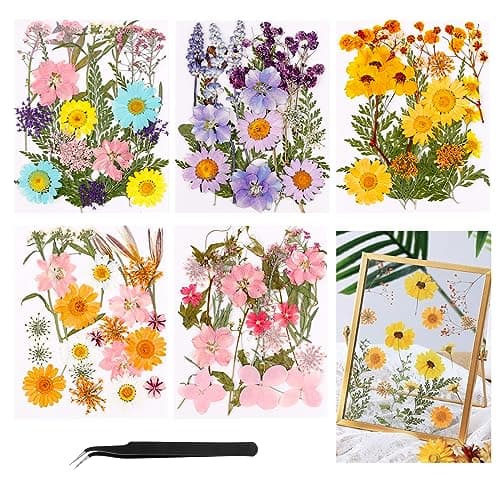 5 Paquets de Fleurs Séchées Naturelles, 96 Pcs Fleurs Sechees et Feuilles Séchées Naturelles, Bricolage Fleurs Pressées Séchées Naturelles Decoration pour Carte Scrapbook Art Décors Artisanat