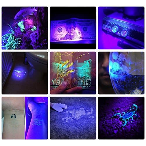 Alonefire SV41 10W Lampe Torche UV LED 395nm Rechargeable Lampe Ultraviolet Lumiere Noire Détecteur D'urine pour Resine, Pêche, Scorpion, Minéraux avec Lunettes de Protection UV, Chargeur, Batterie