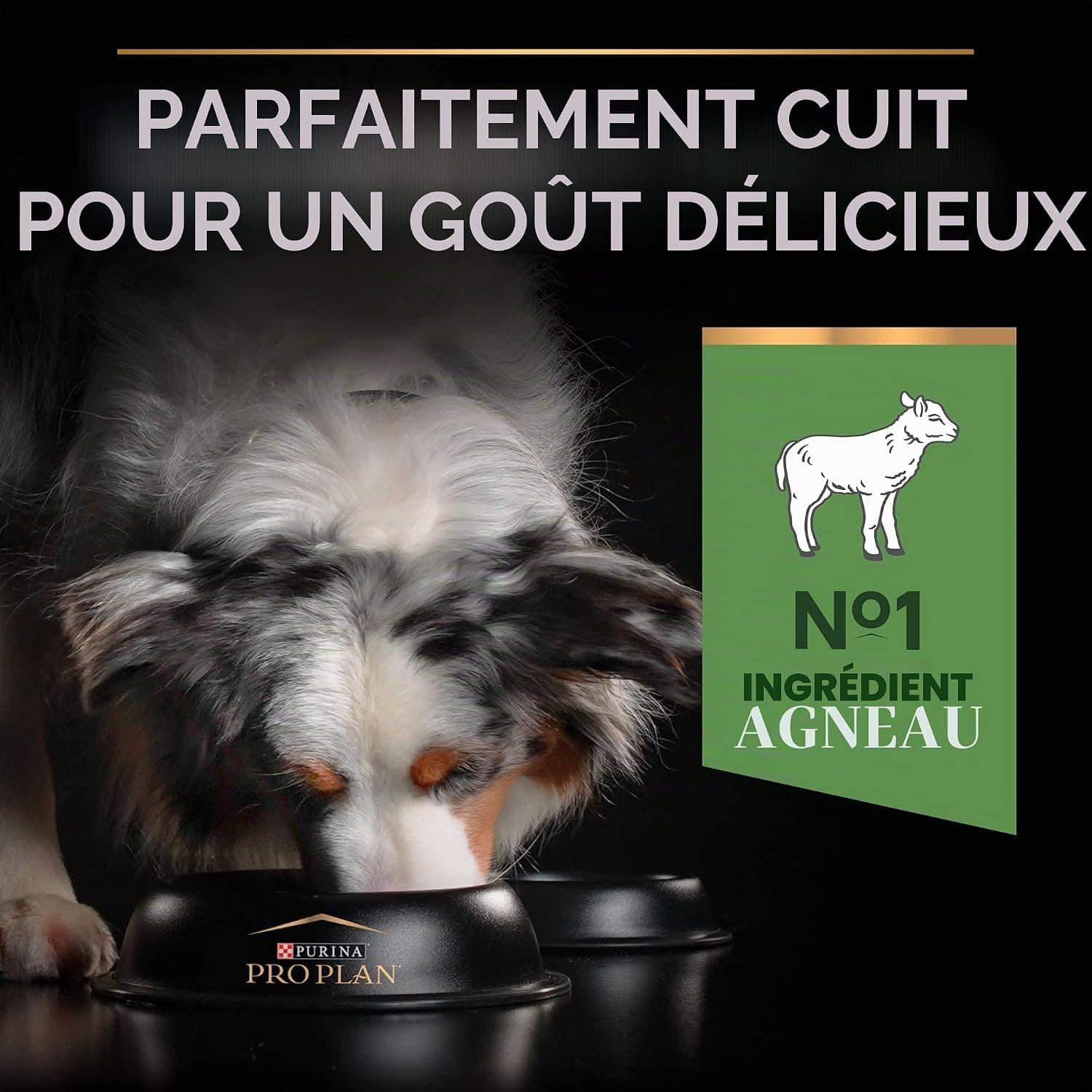 PRO PLAN Chien Medium Adult Sensitive Digestion Agneau 14KG