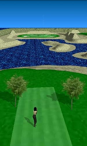 Par 3 Golf II