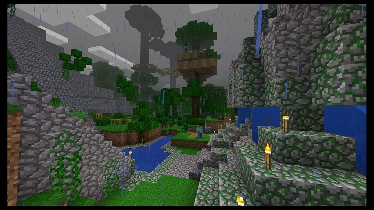 Minecraft pour Nintendo Switch (La couverture peut varier)