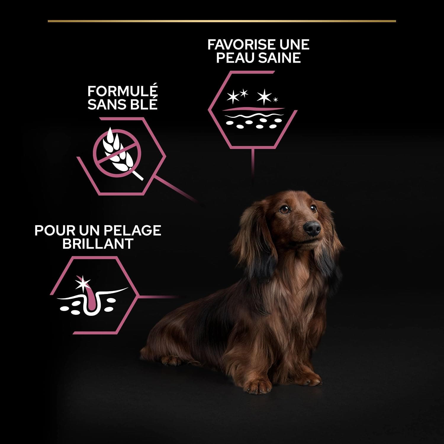 Purina Pro Plan - Sensitive Skin - Croquettes Petit Chien Saumon - 12 kg