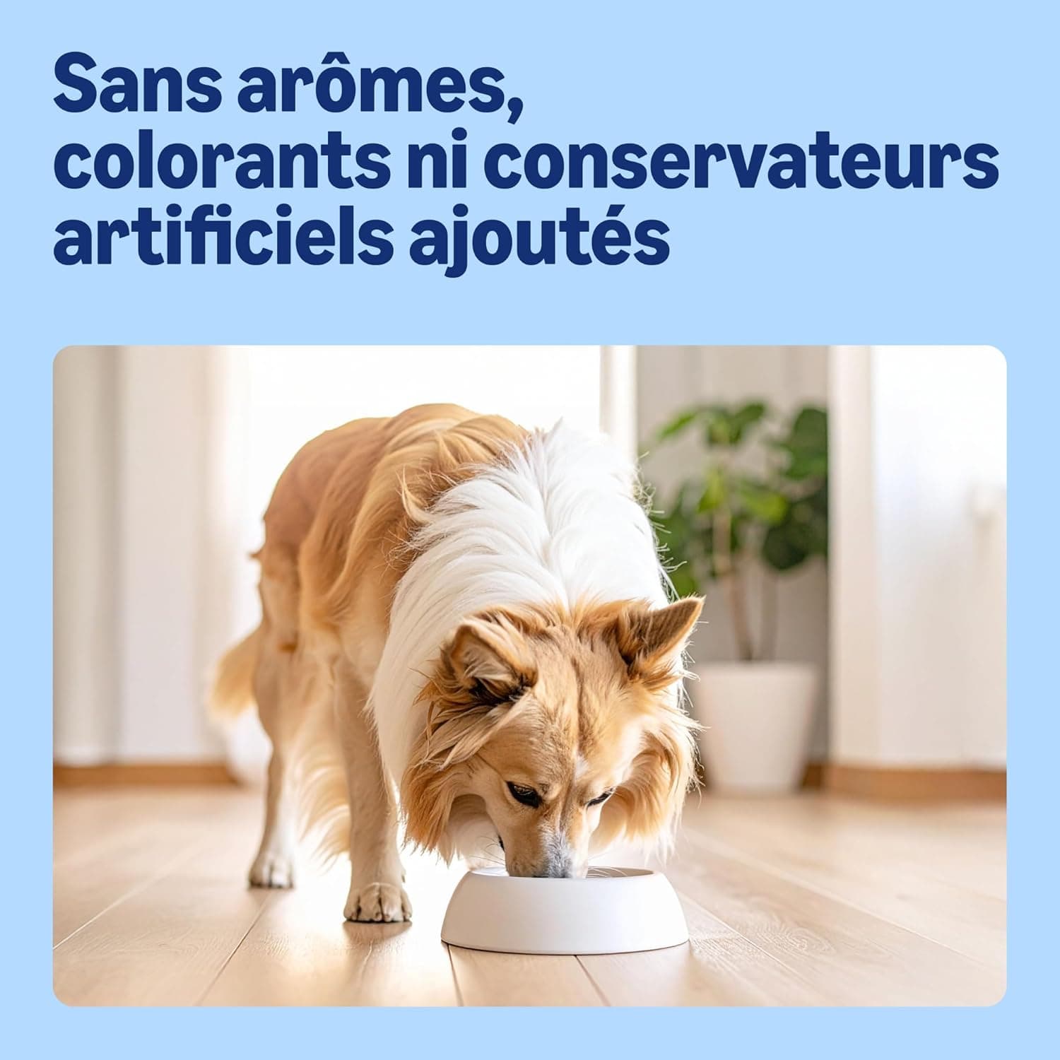 by Amazon - Croquettes complètes Pour Chien adulte, Boeuf aux Petits Pois, 5kg, lot de 1