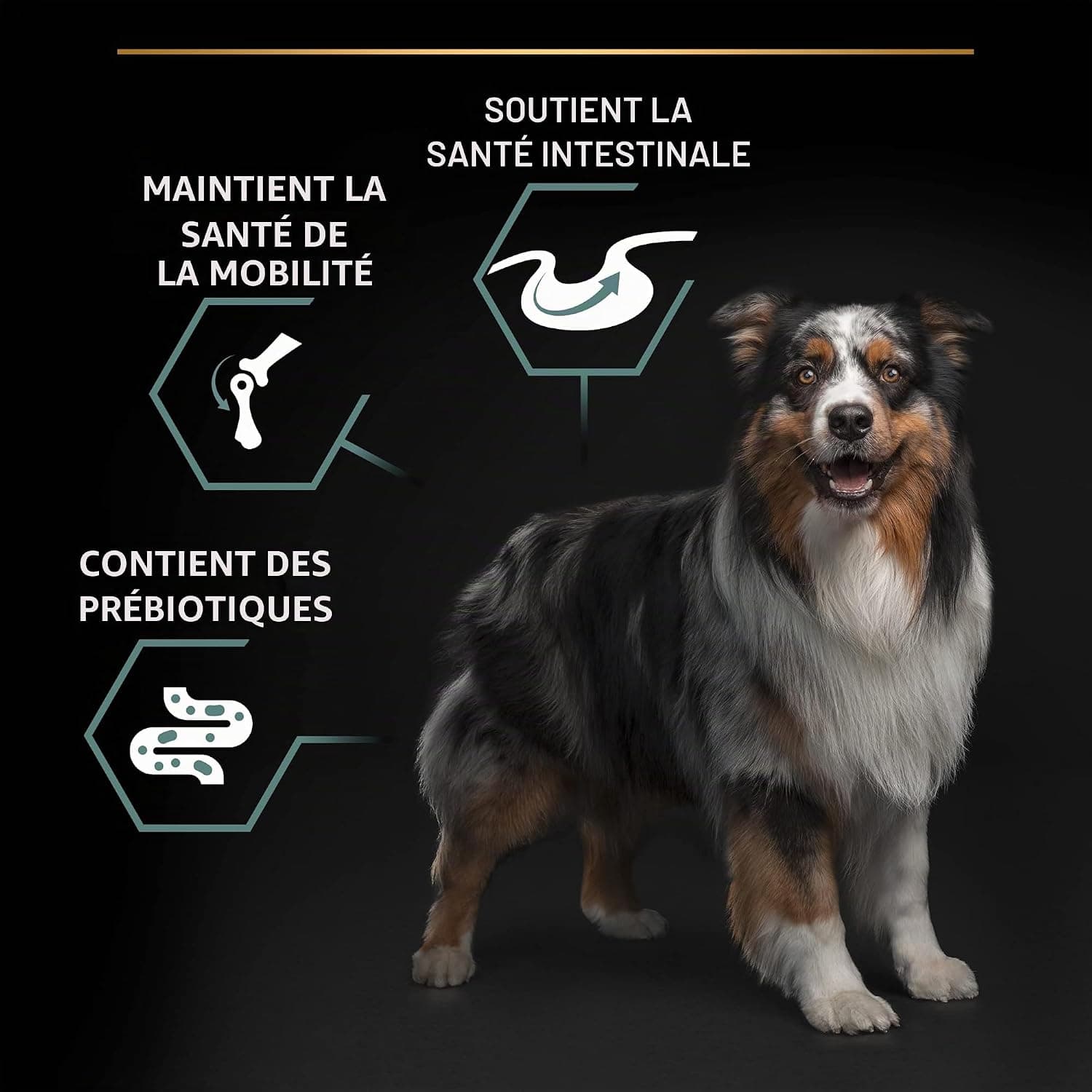 PRO PLAN Chien Medium Adult Sensitive Digestion Agneau 14KG