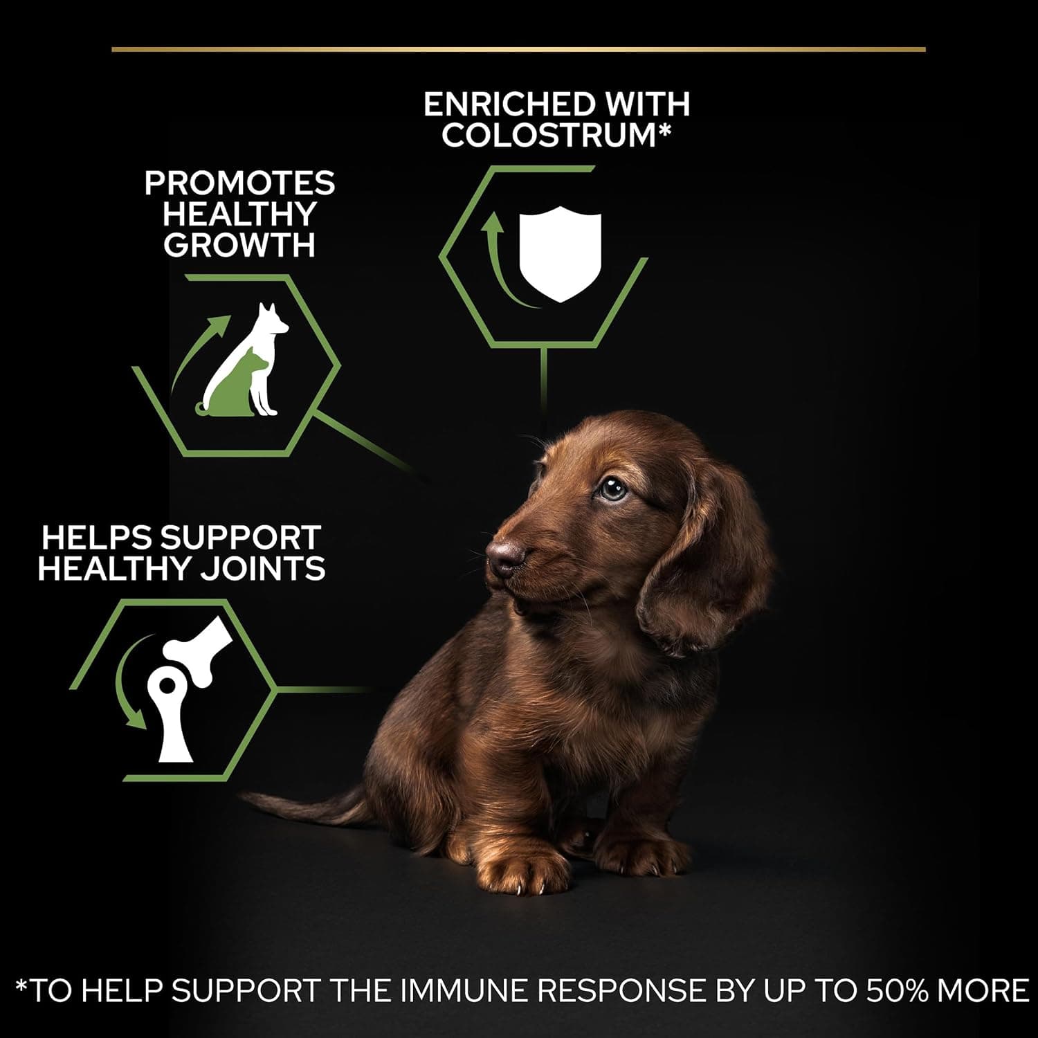 Purina Pro Plan - Small Mini Puppy Healthy Start Chien Poulet - 3 kg | Croquettes Chiot Petite Taille Saveur Poulet - Soutient la croissance et le système immunitaire du Chiot - Aliment complet