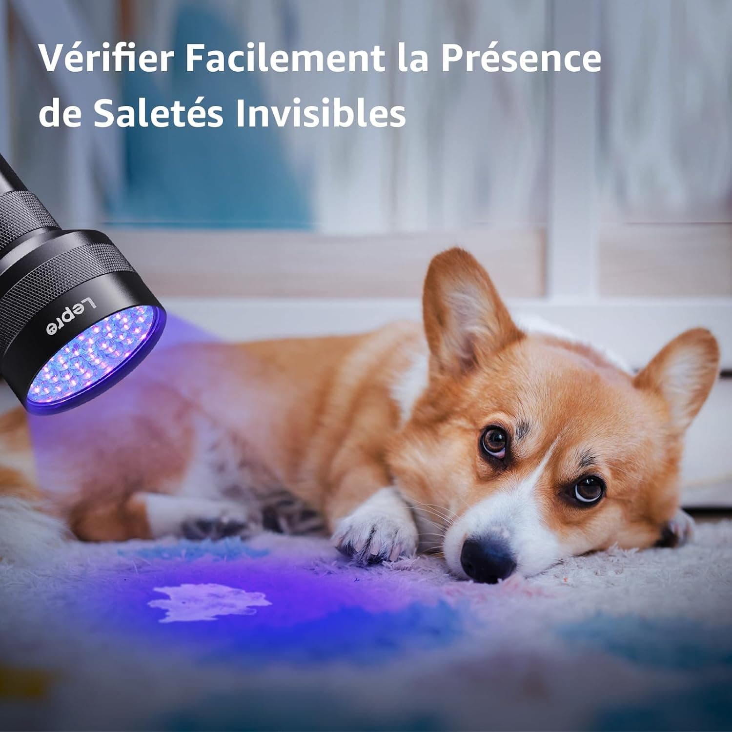 Lepro Lampe UV 395nm Détecteur