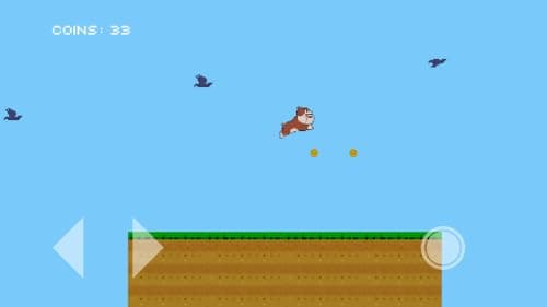 Jumpy Dog