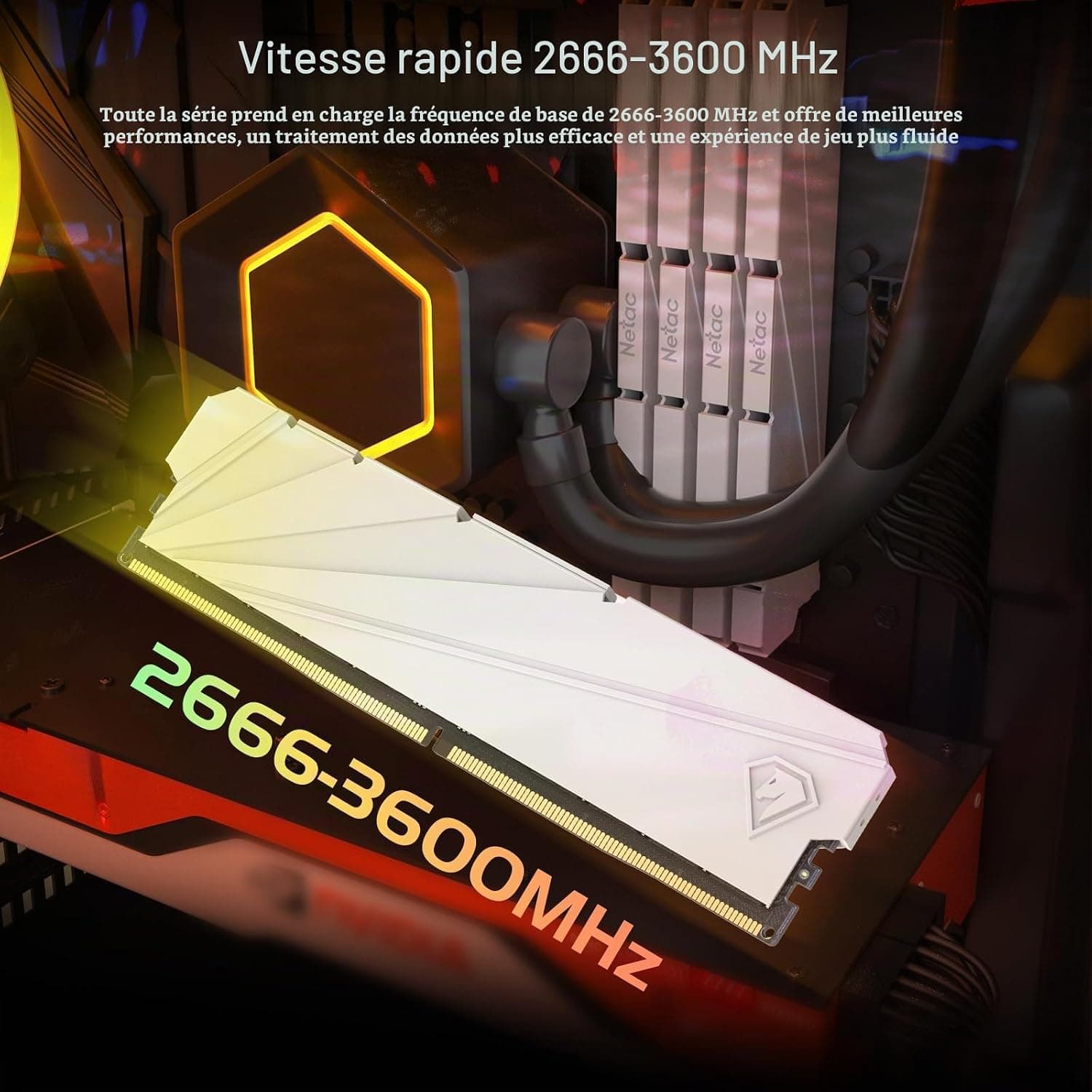 Netac DDR4 Mémoire RAM 16 Go 2666 MHz DRAM C19 Mémoire de Jeu 16 Go Blanc Gilet Thermique pour Jeu d'ordinateur