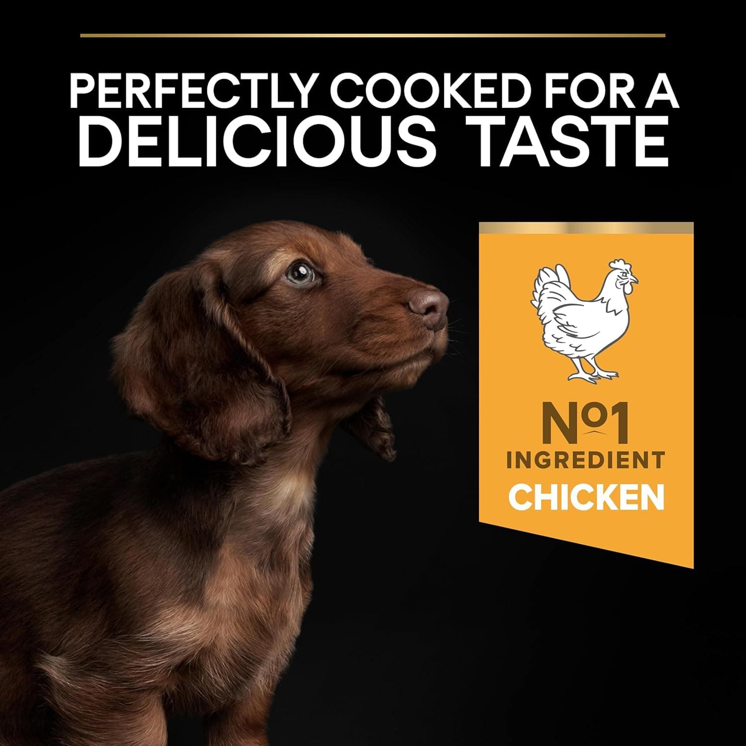 Purina Pro Plan - Small Mini Puppy Healthy Start Chien Poulet - 3 kg | Croquettes Chiot Petite Taille Saveur Poulet - Soutient la croissance et le système immunitaire du Chiot - Aliment complet
