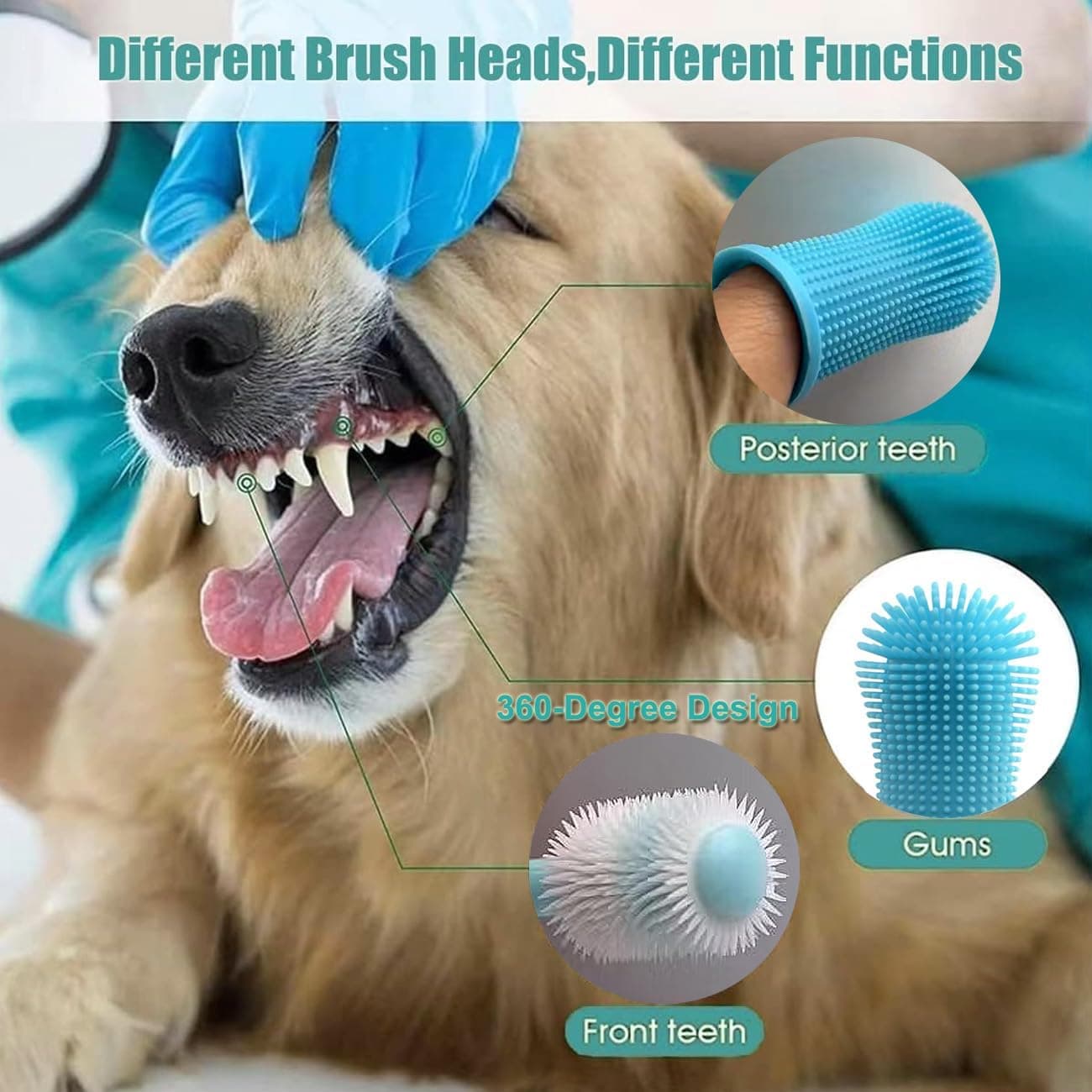 Brosse à Dent Chien, 360° Brosses à Doigts pour Animaux, Rafraîchit l'Haleine & Élimine la Plaque Dentaire, Pour le Nettoyage et le Soin des Dents, Chien Accessoires, Lot de 5 (Bleu)