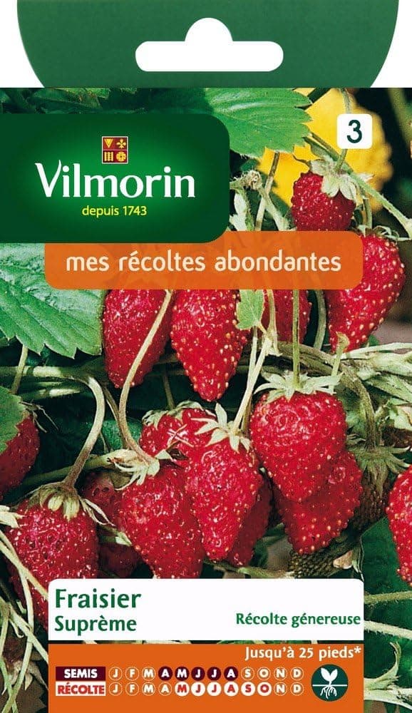 Vilmorin Fraisier 4 Saisons Suprême | Variété productive, semis d'avril à août, récolte de mai à octobre