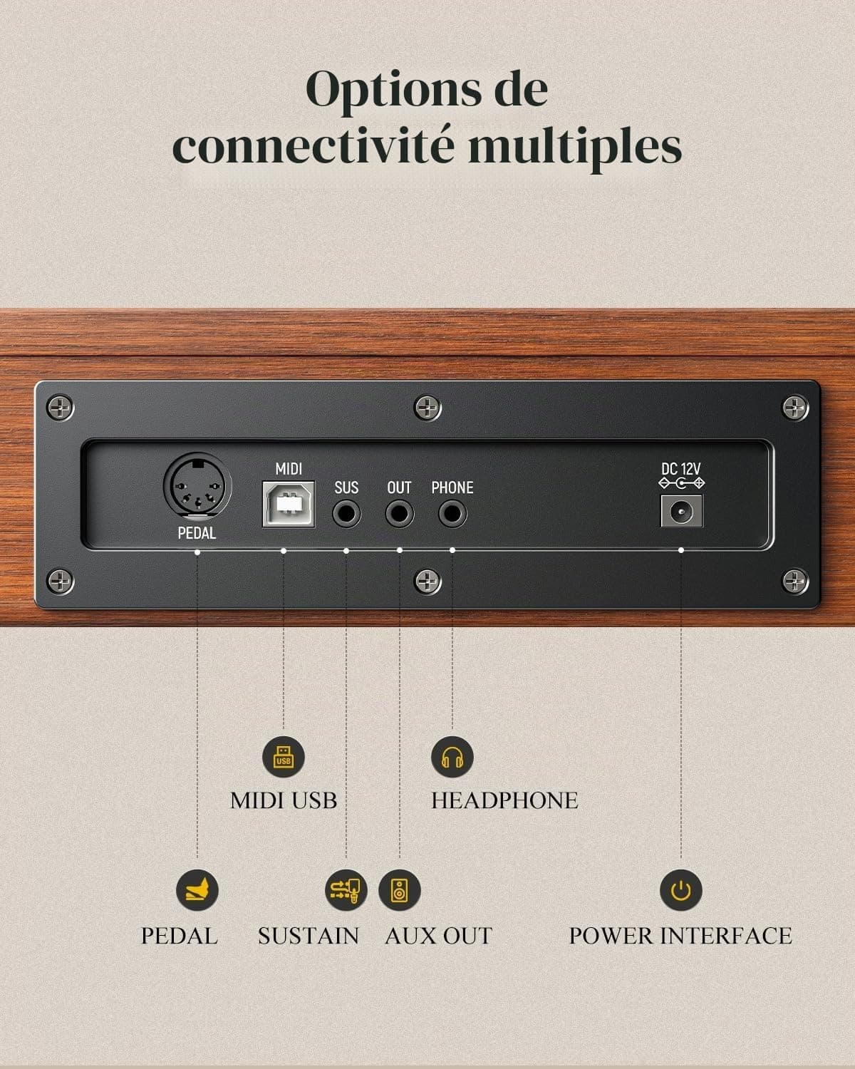 Eastar EP-80 Clavier Piano 88 Touches, Clavier Électrique Pleine Taille avec Touches Sensibles à la Vélocité, Ensemble Piano Numérique Portable pour Débutants avec Support, Pédale et Casque, Marron