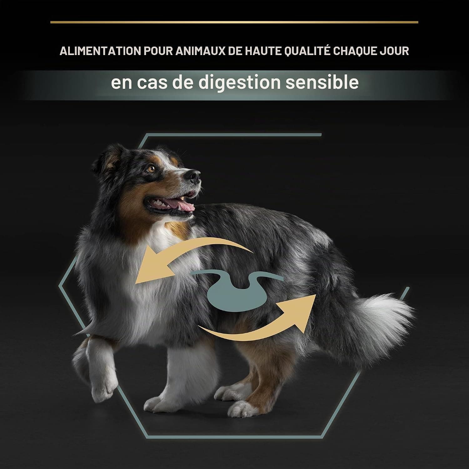 PRO PLAN Chien Medium Adult Sensitive Digestion Agneau 14KG