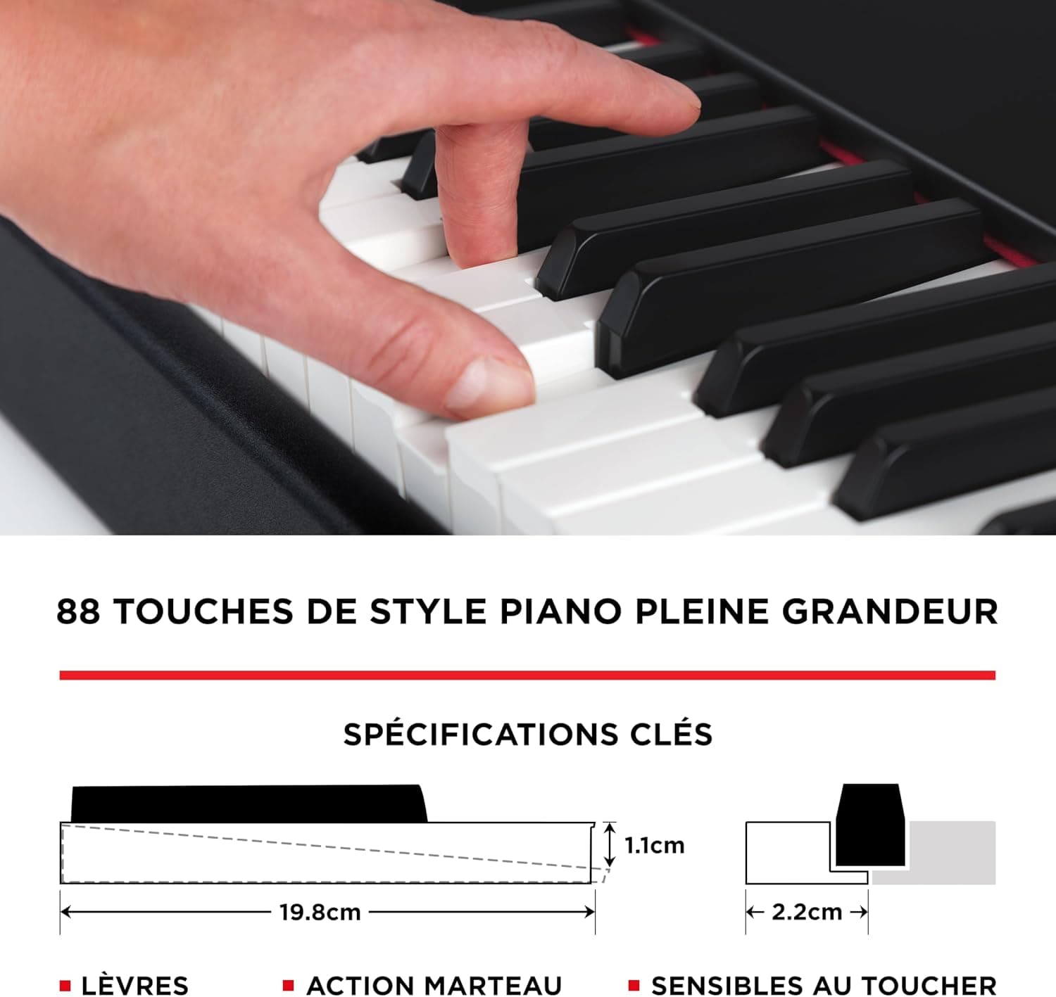 M-AUDIO Hammer 88 Controleur Clavier USB MIDI | 88 Touches a Action Marteau Lestees et Suite Logicielle d'Enregistrement en Studio