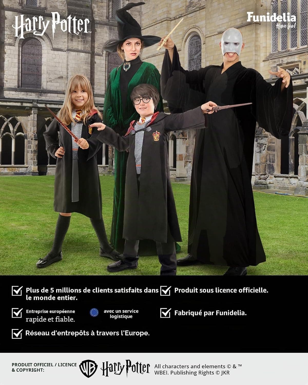 Funidelia Cravate Officielle Harry Potter pour homme. Produits dérivés pour offrir à Noël et anniversaires.