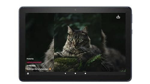 Xmooth: Explorer for Instagram