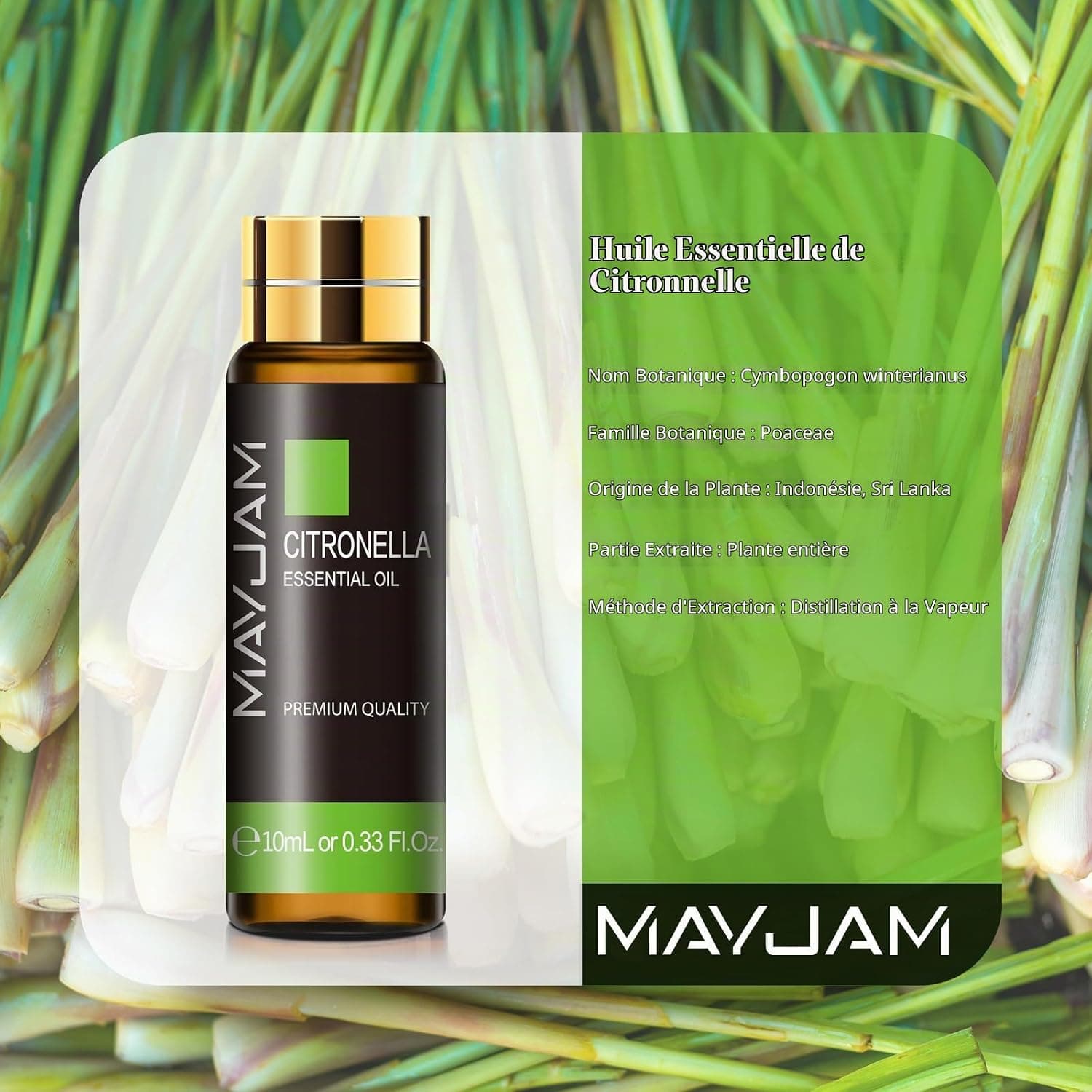 MAYJAM Huile Essentielle de Citronnelle pour Diffuseur 10ML | Huile Essentielle de Citronnelle pour Humidificateur, DIY, Home, Wardrobes