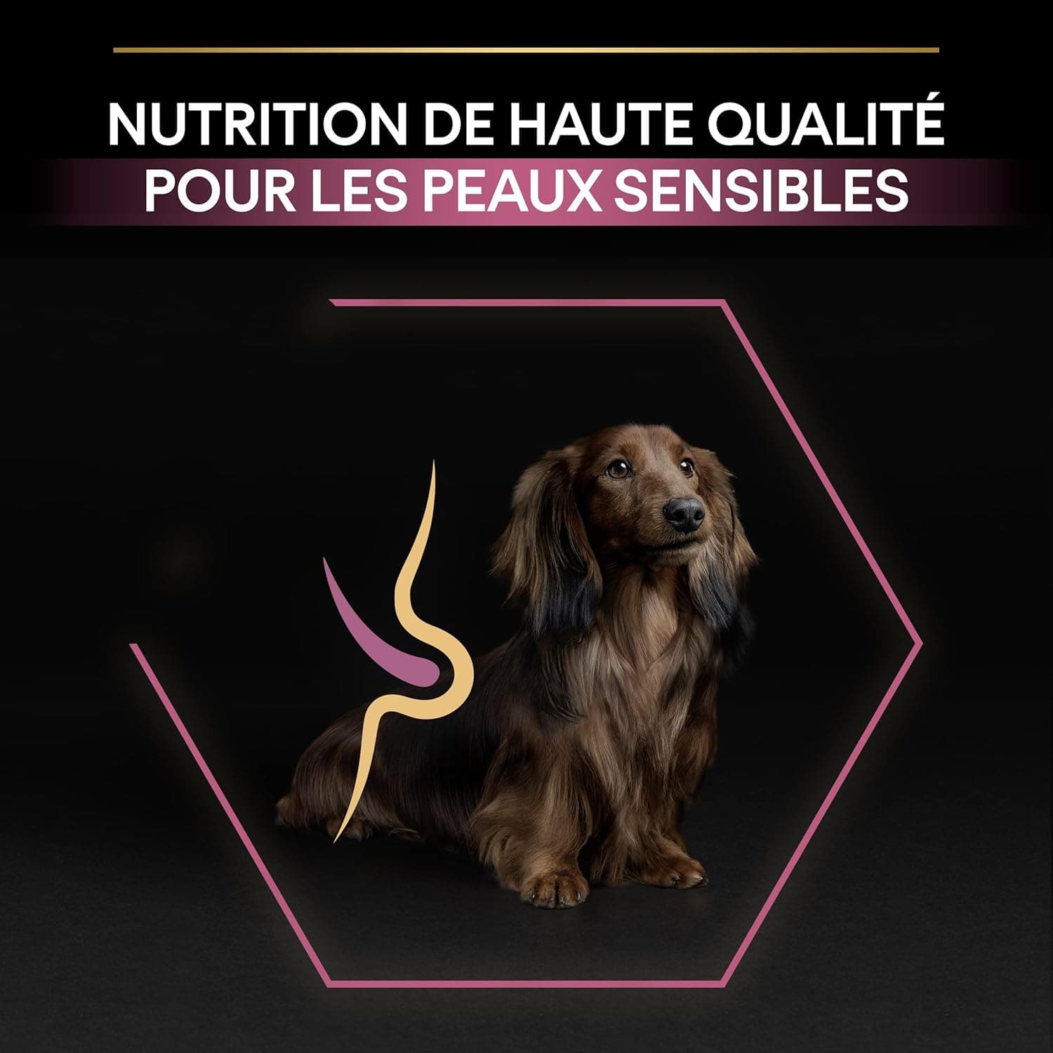 Purina Pro Plan - Sensitive Skin - Croquettes Petit Chien Saumon - 12 kg
