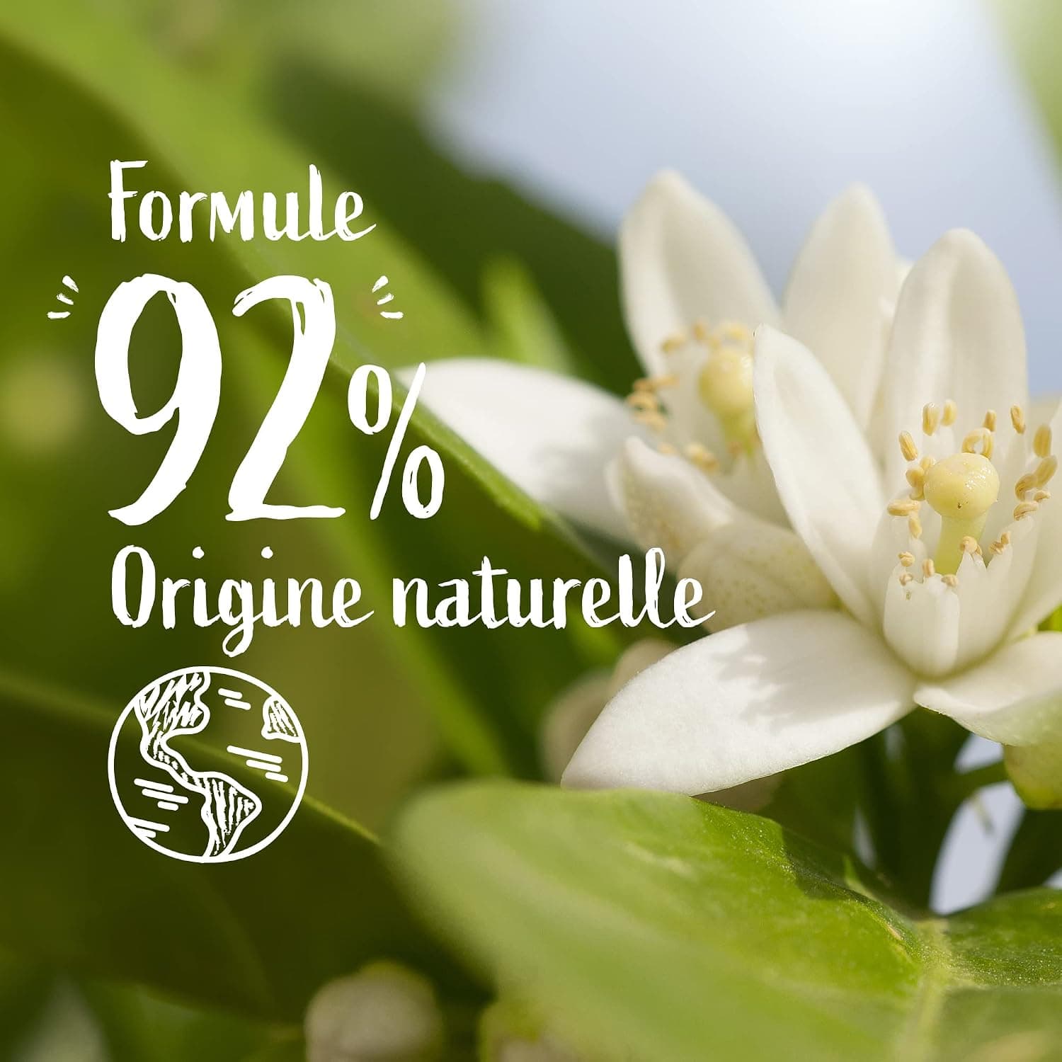 Le Petit Marseillais Recharge Crème Lavante Mains Fleur d'Oranger Bio 250ml