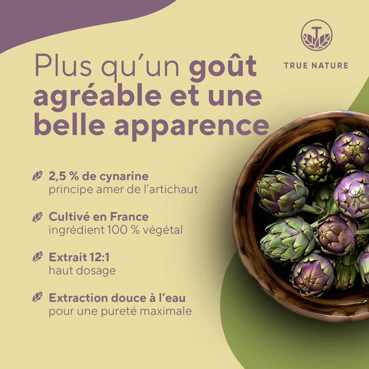 Extrait d'Artichaut Français - 2.400mg avec 2,5% Cynarine - 300 Gélules (2,5 mois) - Confort Digestif, Foie & Détox - Vegan - Sans: Additifs, Lactose & Gluten - TRUE NATURE