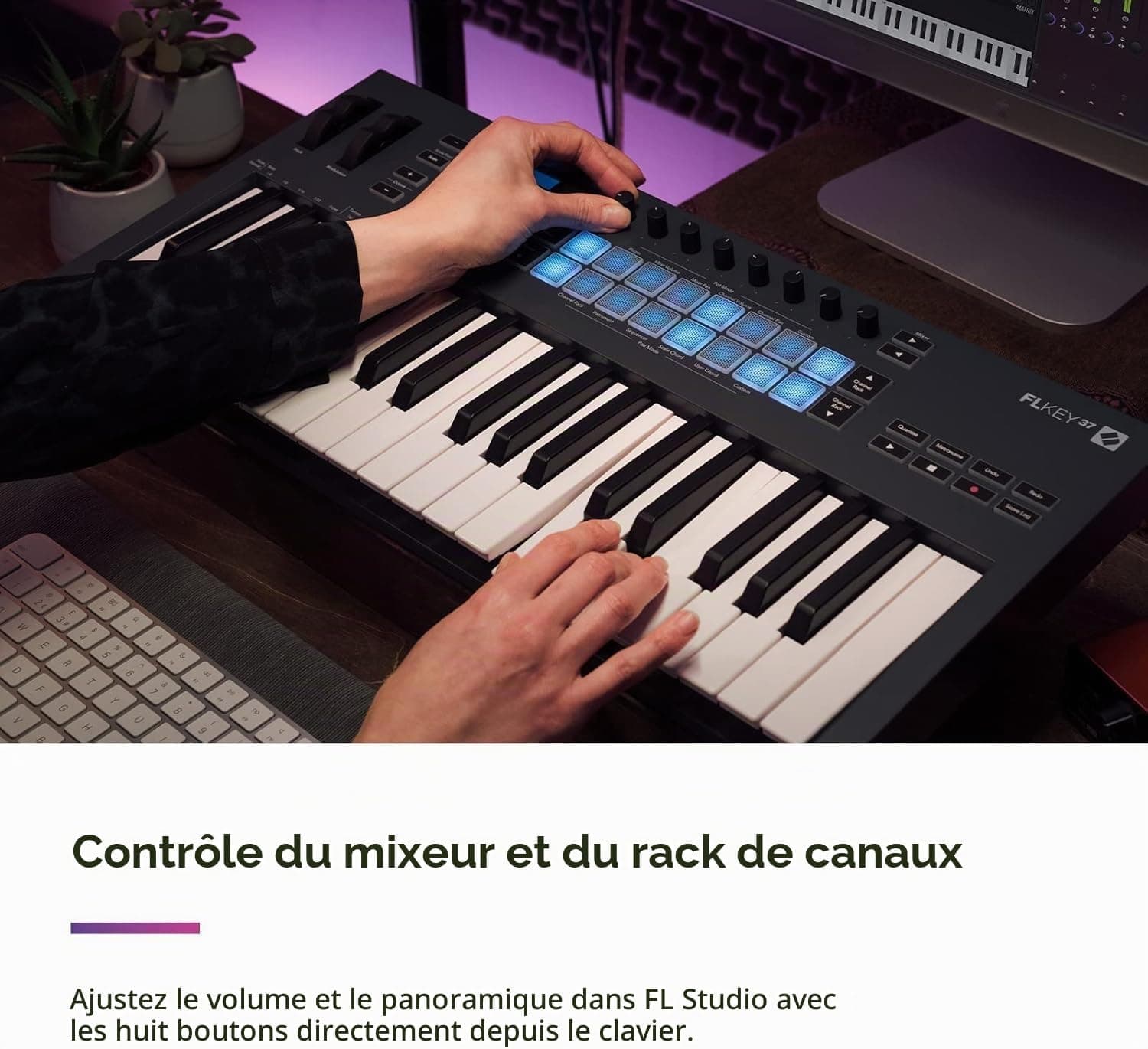Novation FLkey 37 Clavier maître MIDI - intégration parfaite avec FL Studio, avec modes de gammes et d'accords Tous les logiciels nécessaires à la production musicale, Noir