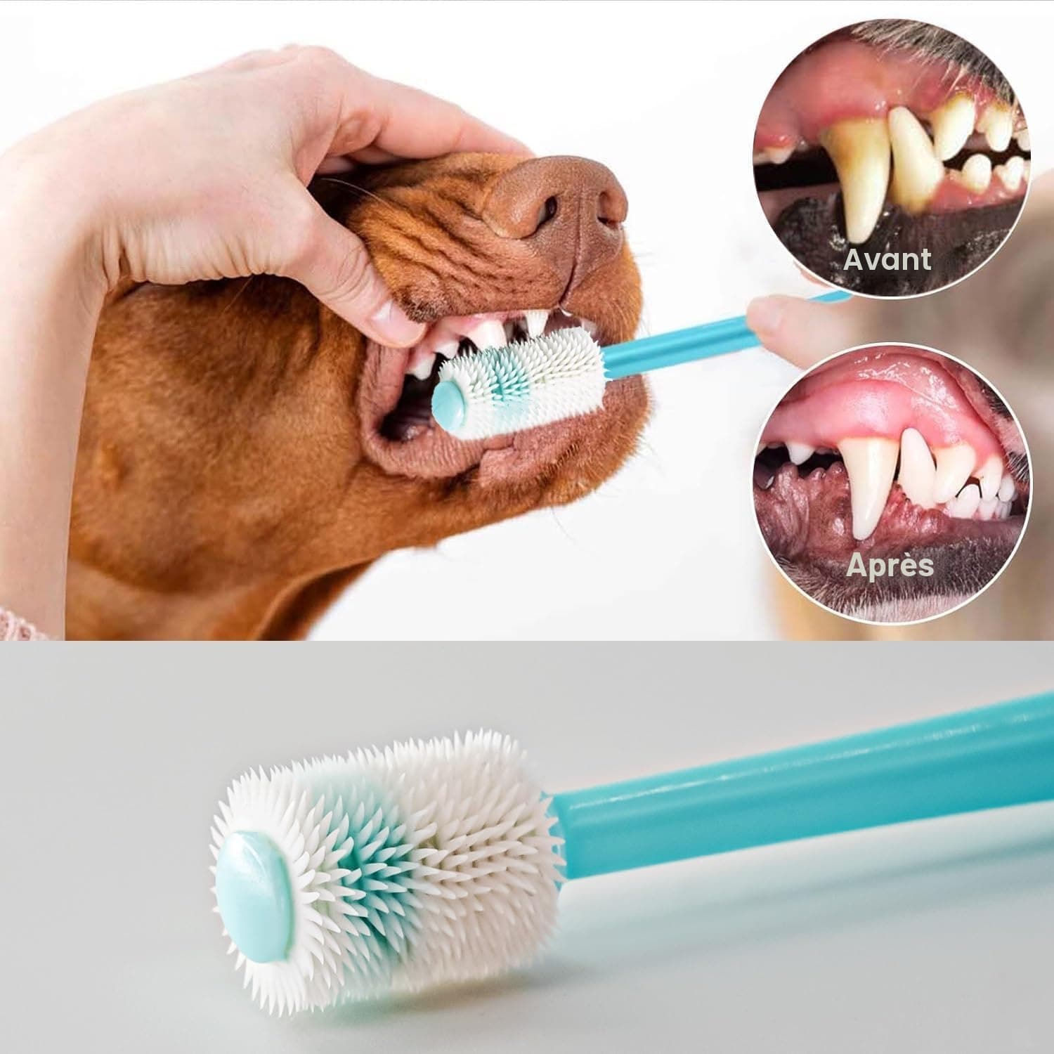 Brosse à Dent Chien, 360° Brosses à Doigts pour Animaux, Rafraîchit l'Haleine & Élimine la Plaque Dentaire, Pour le Nettoyage et le Soin des Dents, Chien Accessoires, Lot de 5 (Bleu)