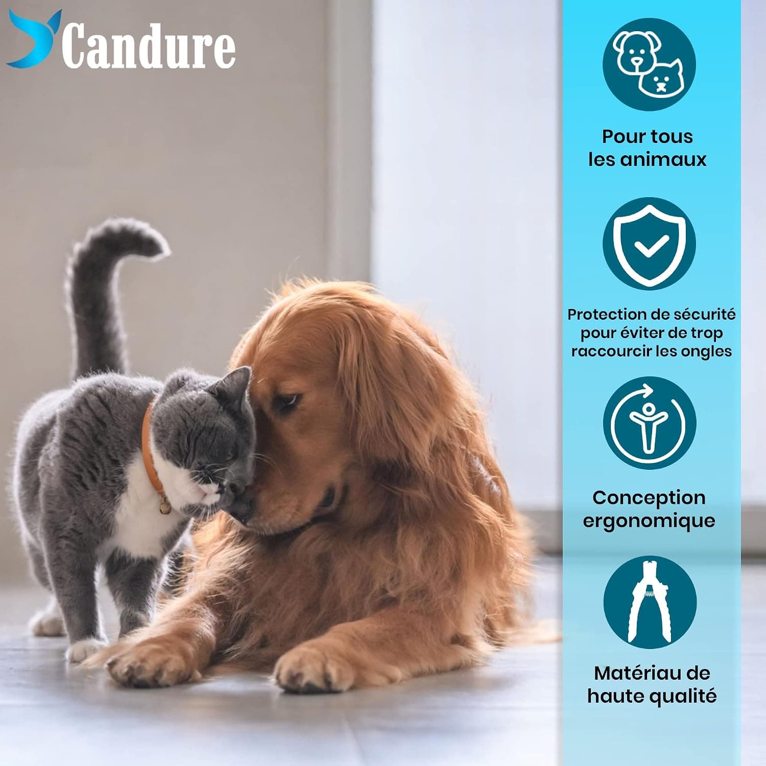 Candure Coupe Ongles Chien Pour Coupe Griffes Chien Et Coupe Ongle Chat- Acier Inoxydable Chien Toilettage Coupe Ongles Pour Animaux De Compagnie