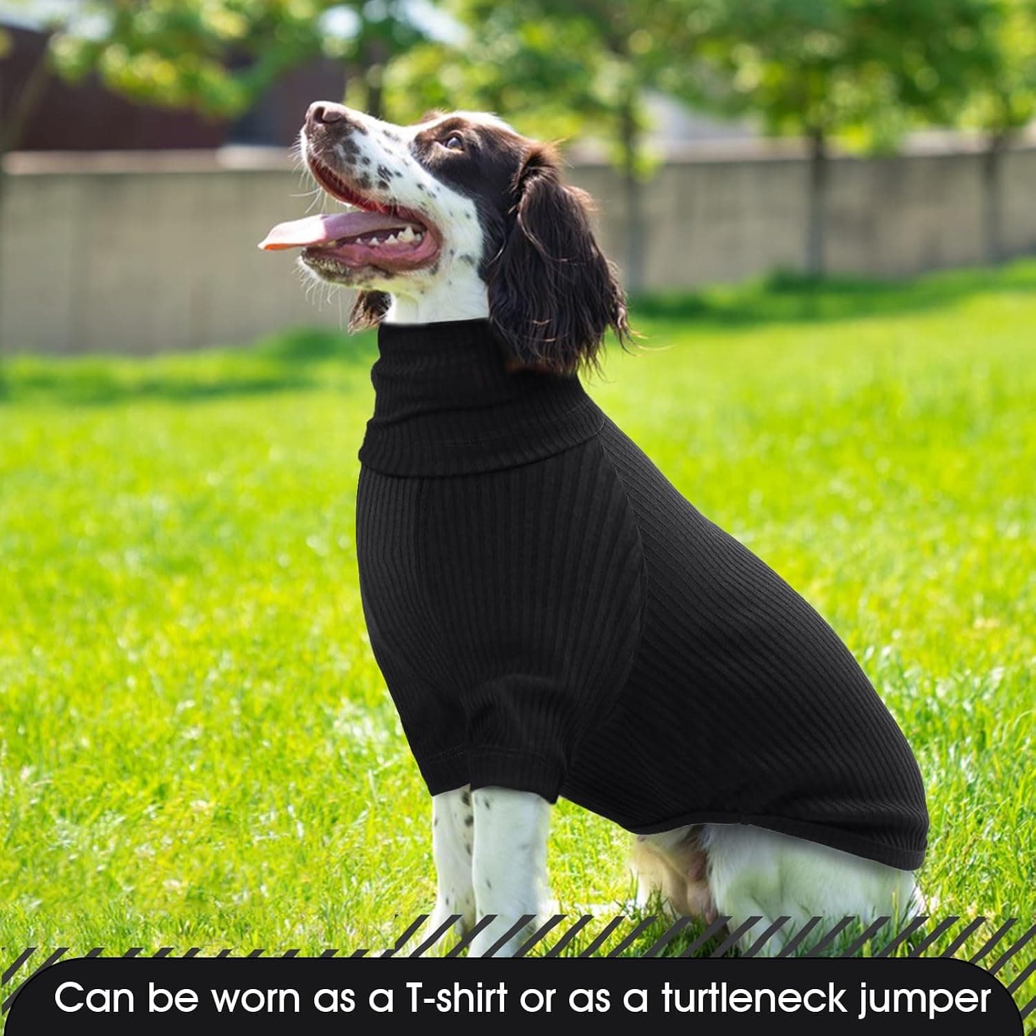 Tee Shirt Chien, Pull pour Chiens de Taille Moyenne Sweat Chien Vêtements Chaud Chien Manteau pour Chien Jumper Chaton Pull pour Chihuahua Con Protection Oreille Chien(Noir, L)