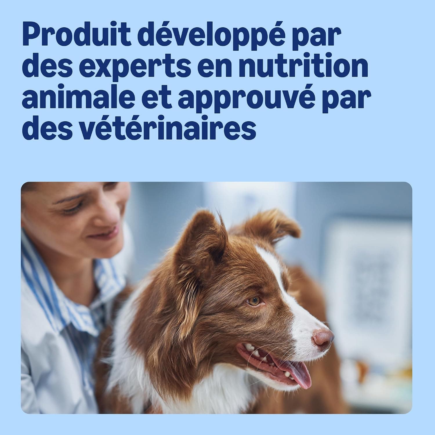 by Amazon - Croquettes complètes Pour Chien adulte, Boeuf aux Petits Pois, 5kg, lot de 1