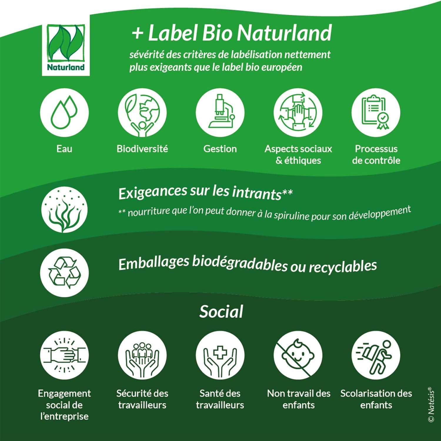 NATESIS — Spiruline & Chlorella Bio 50/50 — 250 comprimés 540 mg — Complément alimentaire bio et vegan — Vitalité, digestion, immunité — Flacon en verre brun — 135 g