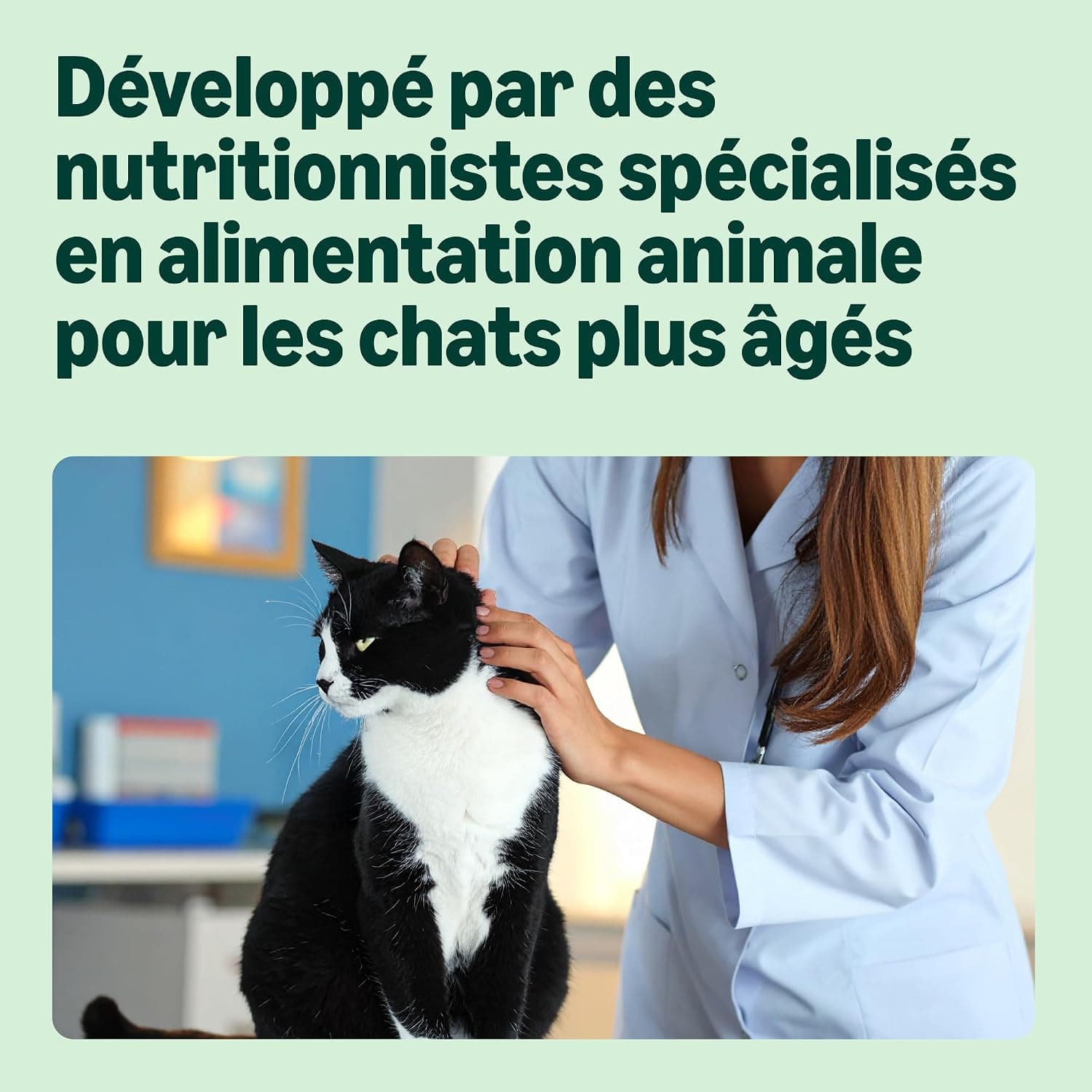 by Amazon Grainfree Recipe Dry Cat Food (Senior) with Fresh Chicken - 3kg (Anciennement Une Marque Lifelong, même Produit)