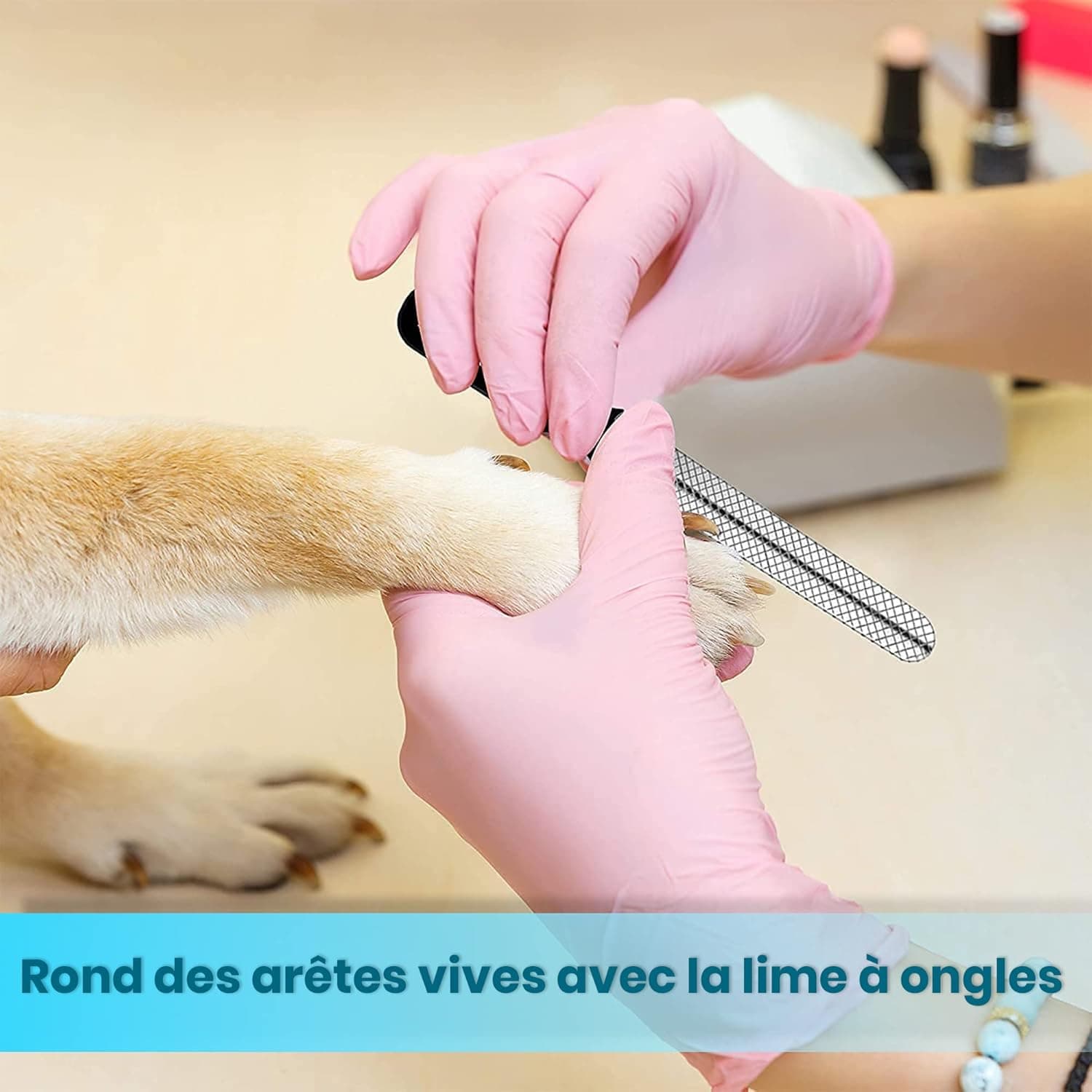 Candure Coupe Ongles Chien Pour Coupe Griffes Chien Et Coupe Ongle Chat- Acier Inoxydable Chien Toilettage Coupe Ongles Pour Animaux De Compagnie