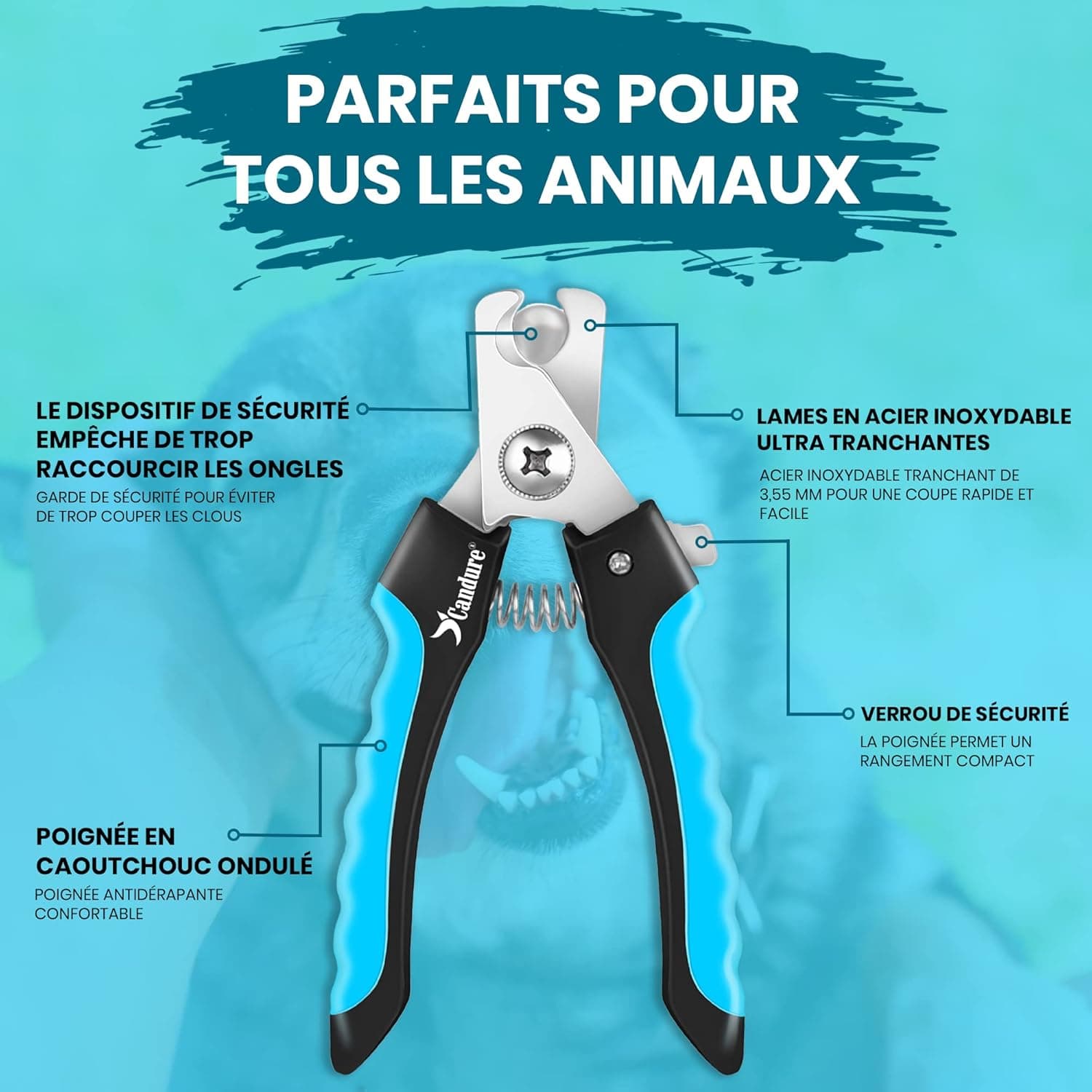 Candure Coupe Ongles Chien Pour Coupe Griffes Chien Et Coupe Ongle Chat- Acier Inoxydable Chien Toilettage Coupe Ongles Pour Animaux De Compagnie