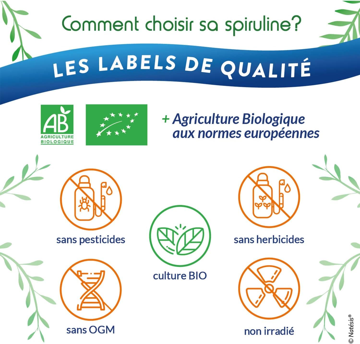NATESIS — Spiruline & Chlorella Bio 50/50 — 250 comprimés 540 mg — Complément alimentaire bio et vegan — Vitalité, digestion, immunité — Flacon en verre brun — 135 g