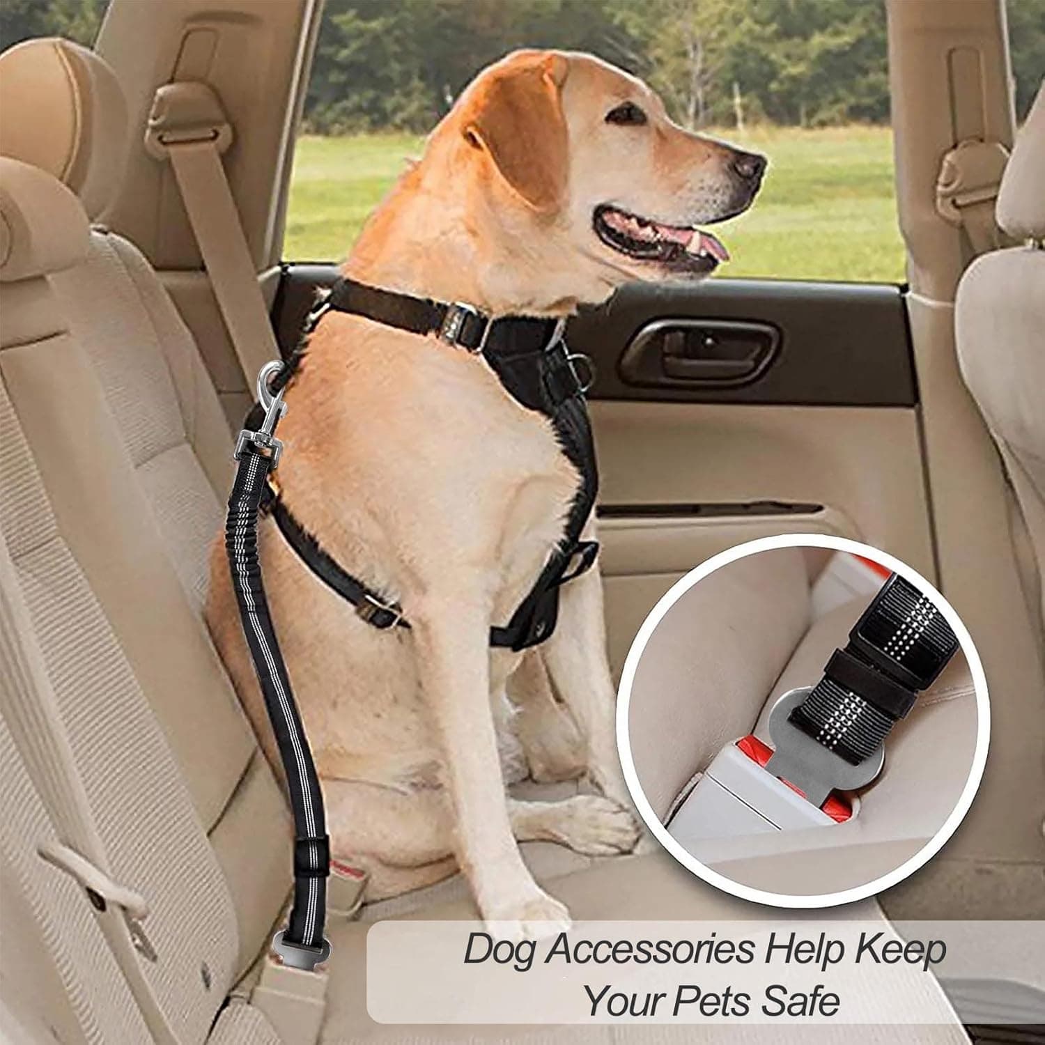 Redamancy Ceinture Chien Voiture, 1 Pièces Harnais, Ceinture Securite avec Absorption des Chocs et Mousqueton pour Tout Type de Voiture pour Tous Les Chiens et Chats