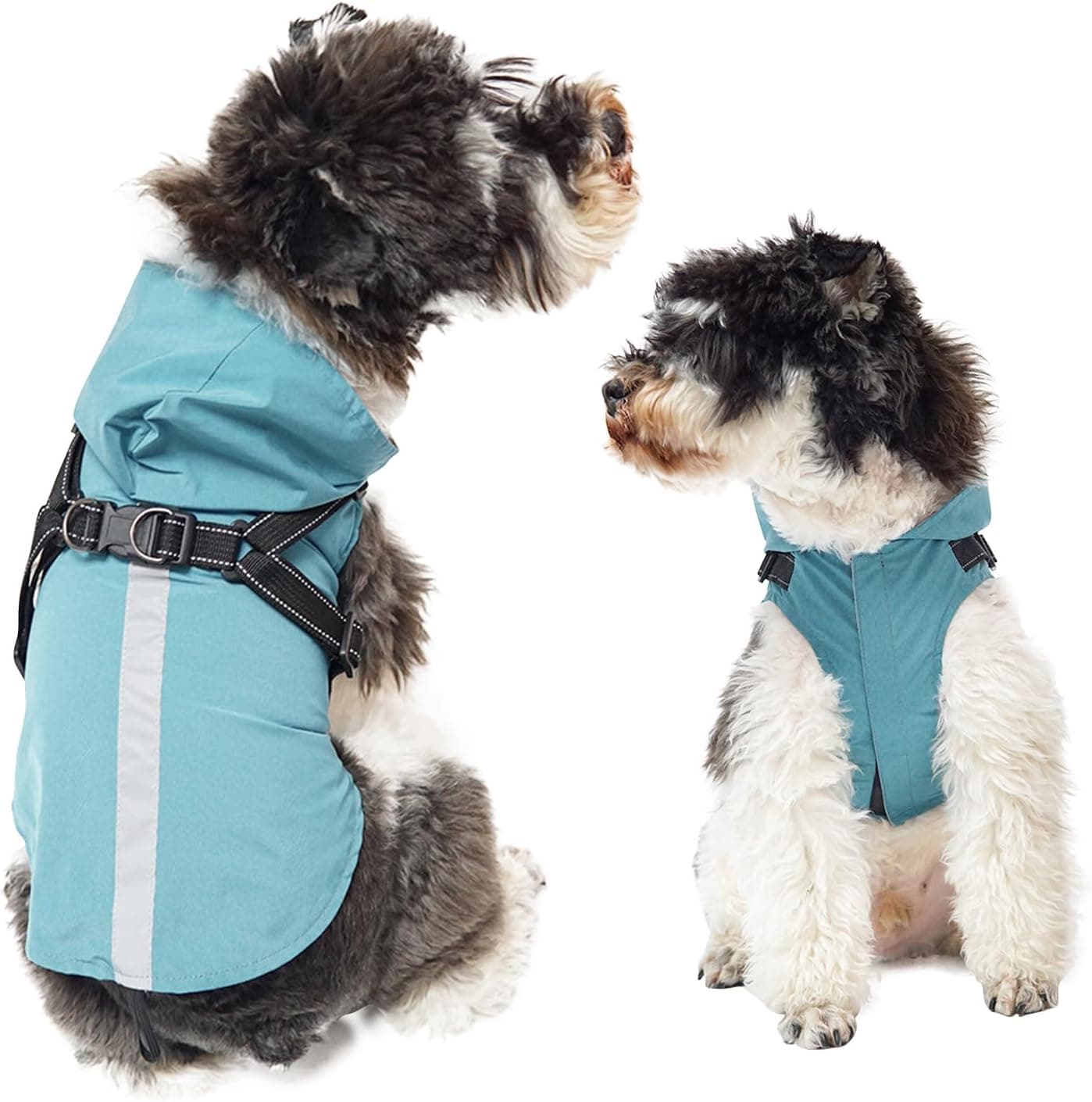 PETCUTE Manteau avec Harnais, avec Capuchon, 100% étanche, Coupe-Vent, avec Bandes Réfléchissantes, Respirant