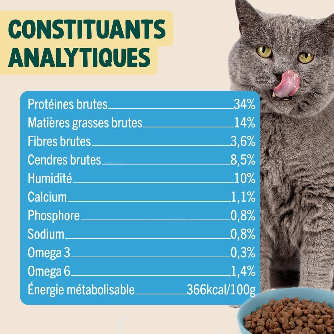 FRANKLIN – Croquettes Chat Senior – 65% de Poulet – 1 kg | Sans Céréales – Riche en Protéines – Soutien des Reins et Articulation – Digestion Facile – Taille 9mm – Fermeture Intégrée