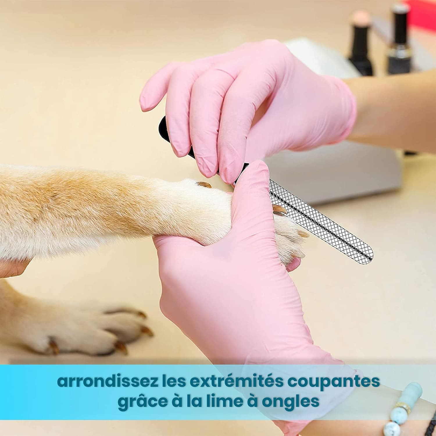 Candure Coupe Ongles Chien Pour Coupe Griffes Chien Et Coupe Ongle Chat- Acier Inoxydable Chien Toilettage Coupe Ongles Pour Animaux De Compagnie