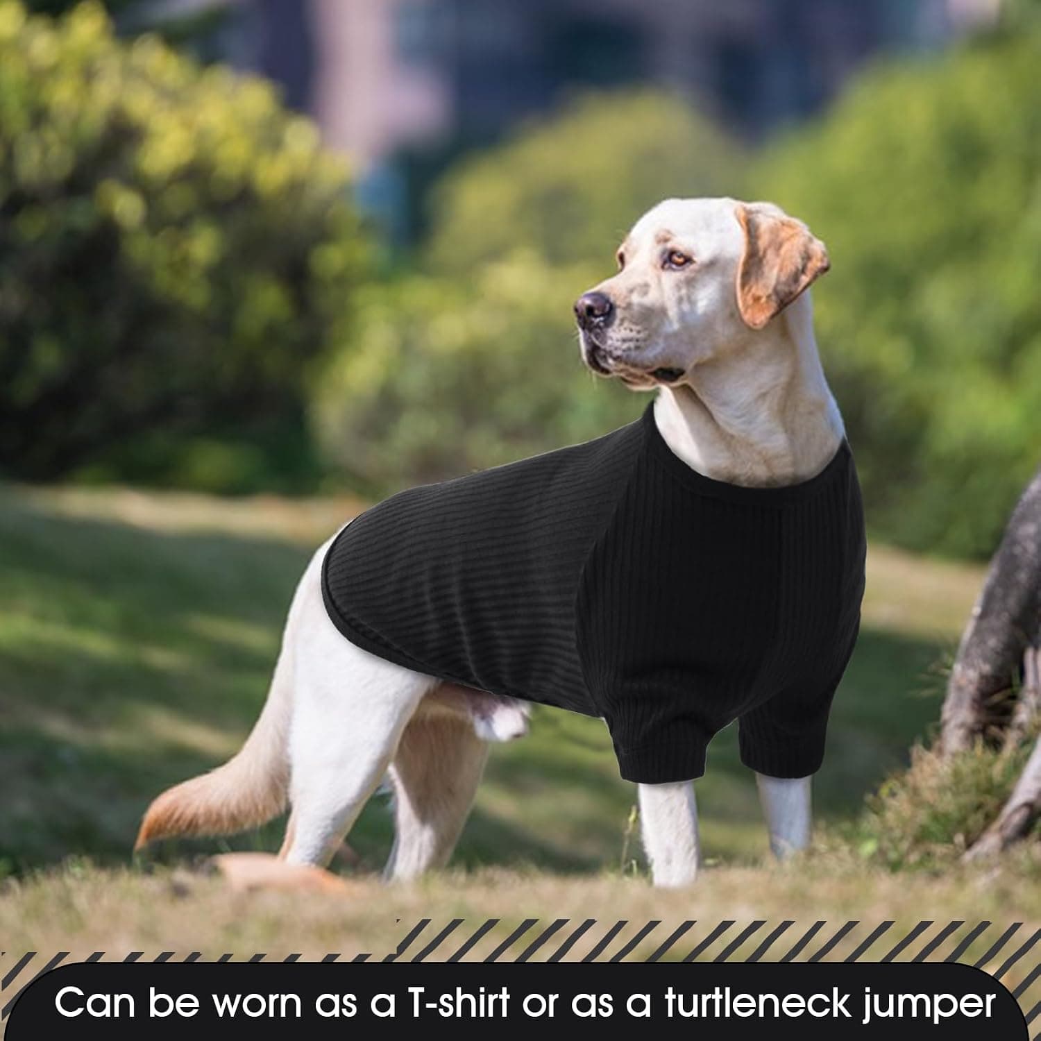 Tee Shirt Chien, Pull pour Chiens de Taille Moyenne Sweat Chien Vêtements Chaud Chien Manteau pour Chien Jumper Chaton Pull pour Chihuahua Con Protection Oreille Chien(Noir, L)