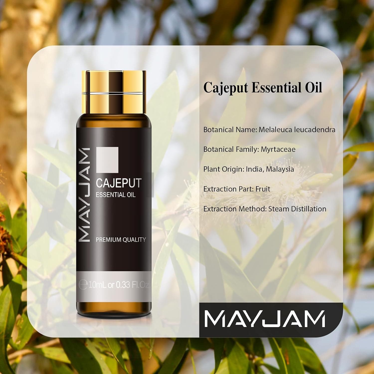 MAYJAM Huile Essentielle de Cajeput pour Diffuseur 10ML