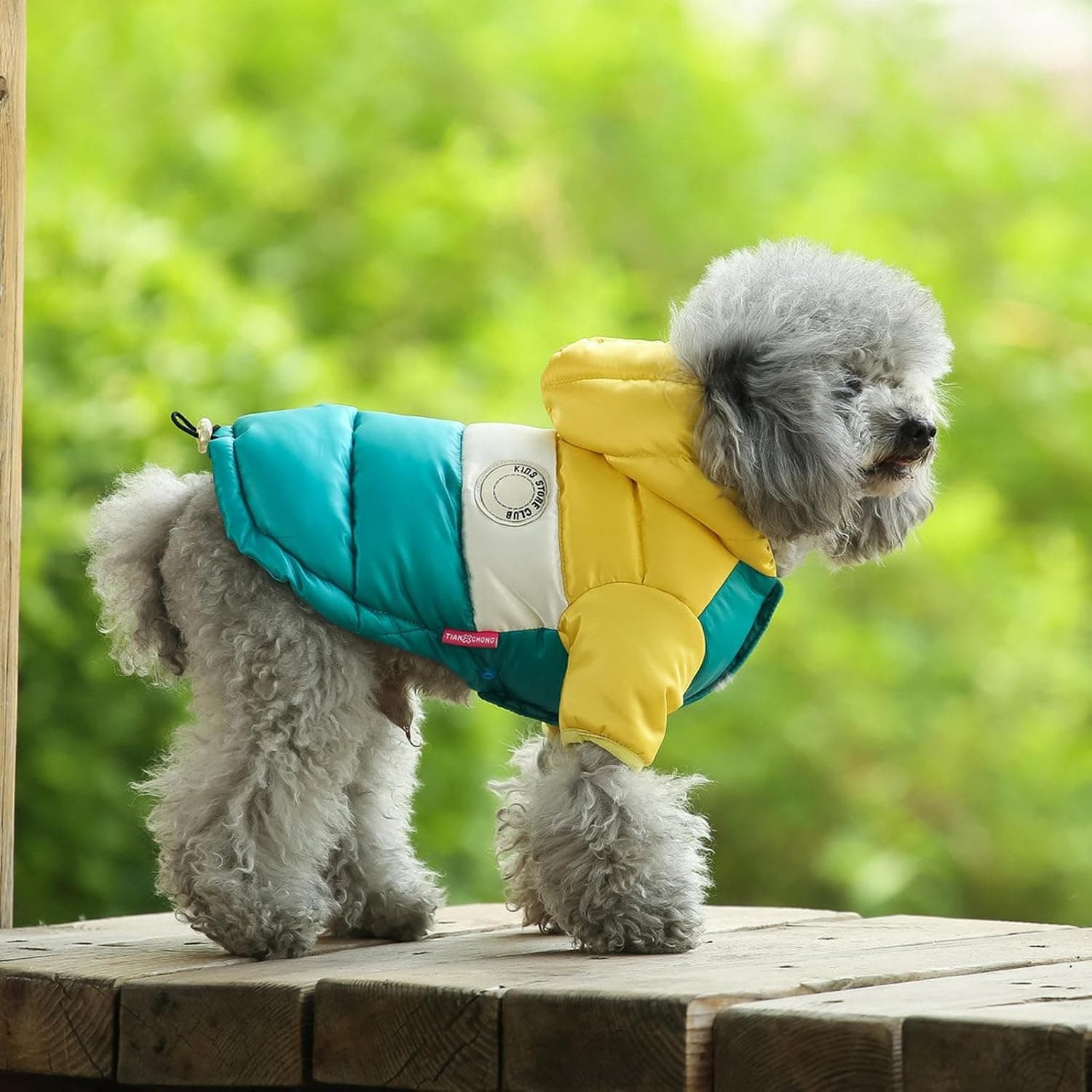 Sollee Manteau d'hiver pour Chien, Manteau Chaud pour Chien,Manteaux pour | Chiens par Temps Froid | Manteaux pour Temps Froid pour Animaux de Compagnie, Veste d'hiver Coupe-Vent Confortable pour Chien