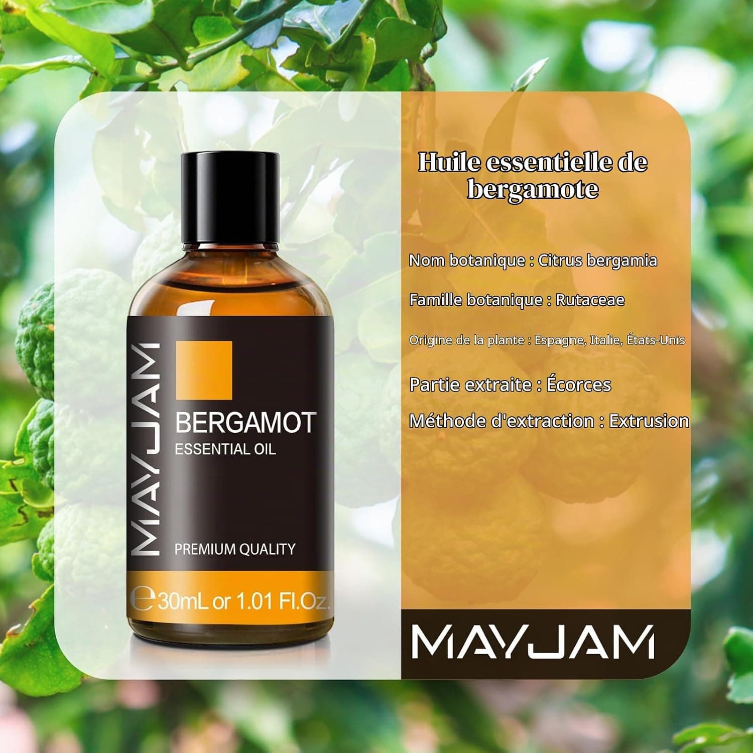 MAYJAM Huile Essentielle de Bergamote 100ML de Haute Qualité pour Diffuseur, Humidificateur, DIY, Home, Wardrobes