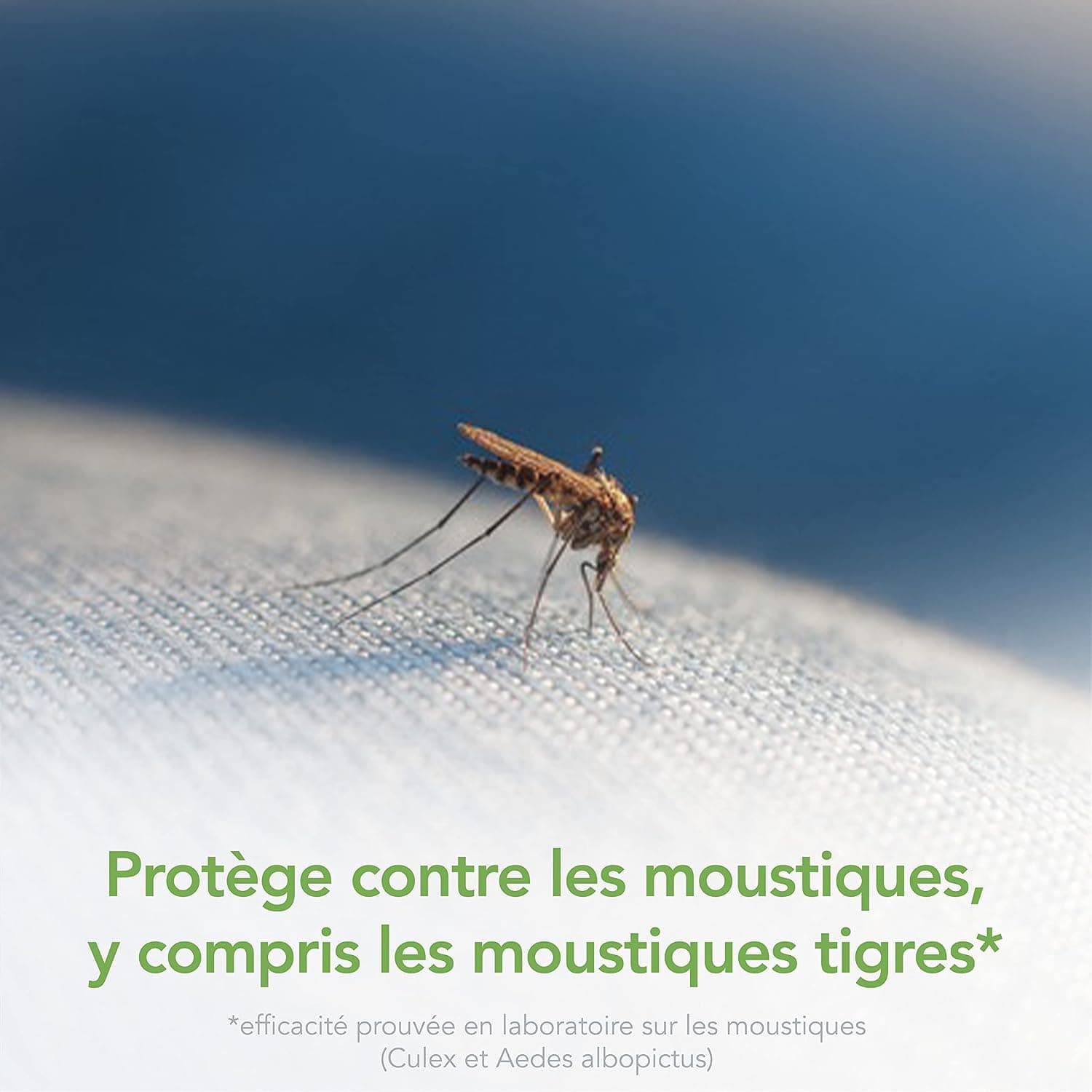 Raid Diffuseur Électrique Répulsif Moustiques 2 Diffuseurs + 2 Recharges