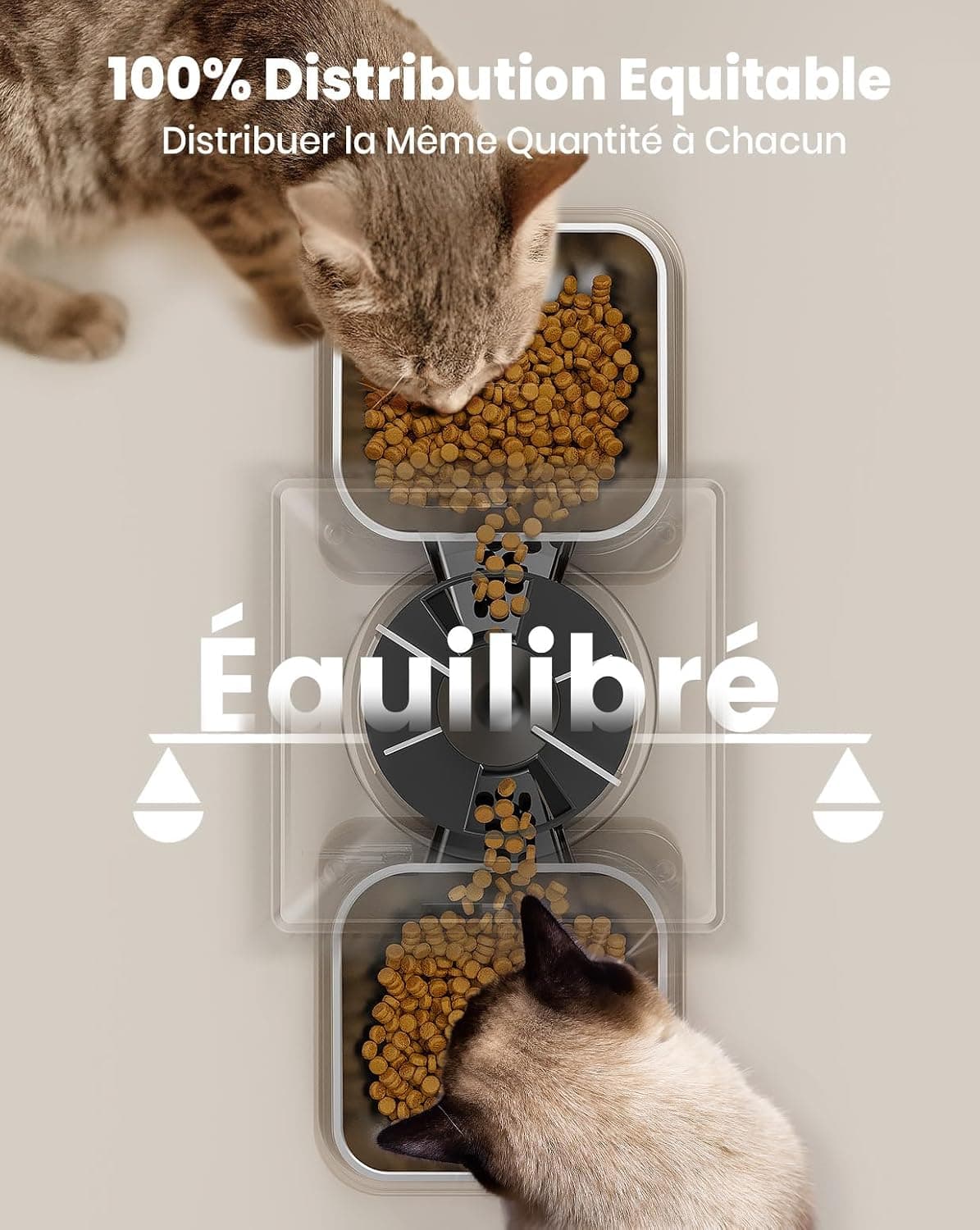 oneisall 5L Distributeur Croquettes Chat Automatique Double, 2 Bols INOX | Distributeur de Nourriture Programmable pour Chat/Chien, Enregistrement Vocal, Mangeoire Automatique à un Bouton Usage Facile