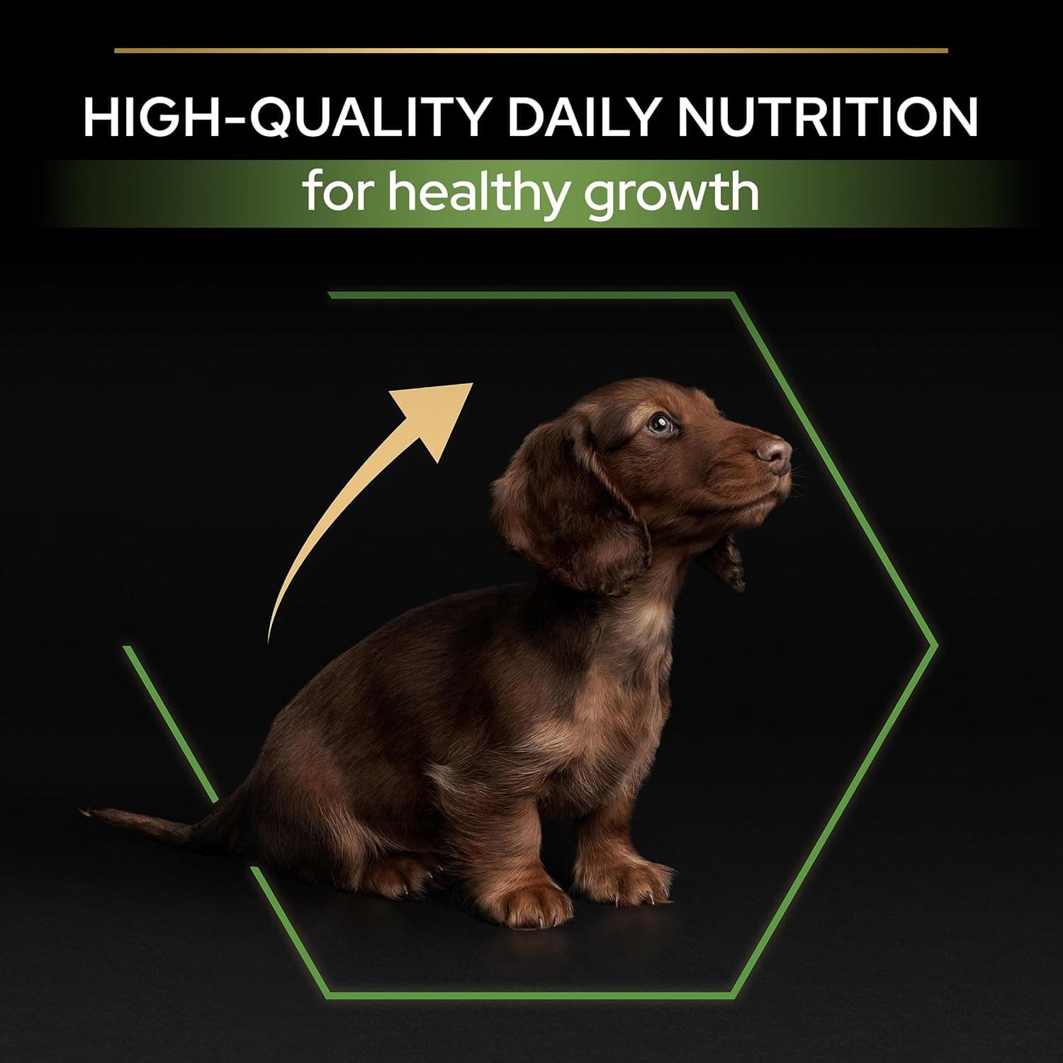 Purina Pro Plan - Small Mini Puppy Healthy Start Chien Poulet - 3 kg | Croquettes Chiot Petite Taille Saveur Poulet - Soutient la croissance et le système immunitaire du Chiot - Aliment complet