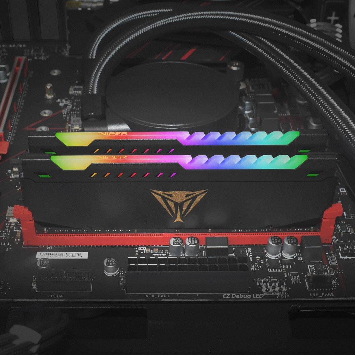 Patriot Memory Viper Elite DDR4 3200 16GB (1x16Go) C18 Module de Mémoire Haute Performance Eclairage LED RGB - Noir