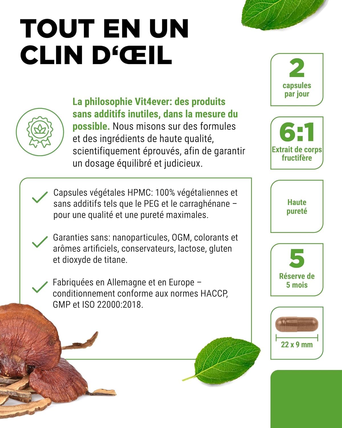 vit4ever Champignon Reishi - 270 Gélules - 1300 mg d’Extrait par jour