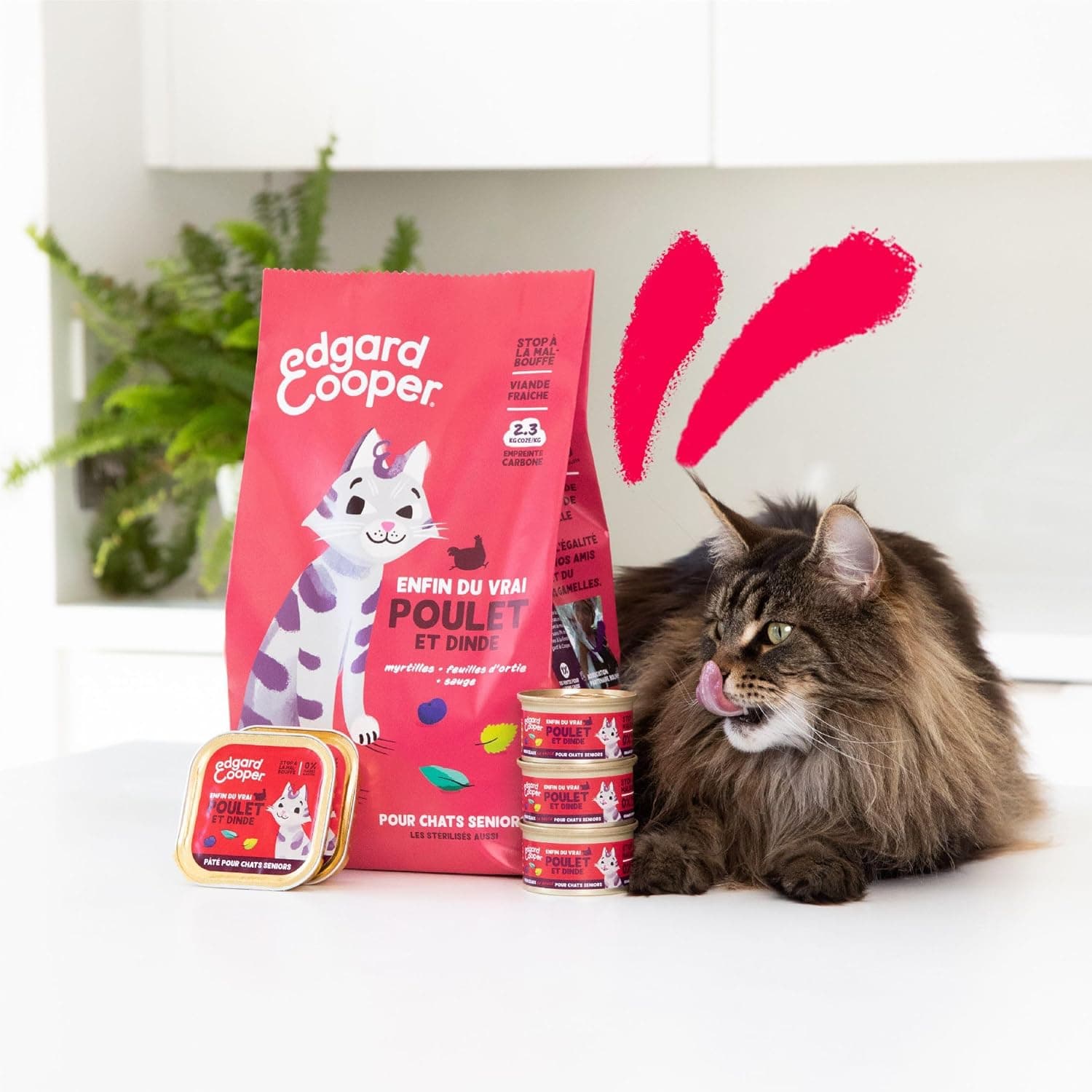 Edgard Cooper Croquettes pour Chat Senior Stérilisé, Senior, Dinde & Poulet 2kg, Sans céréales, Viande fraîche, Nourriture naturelle, Croquette Riche en protéines, Sans sucres ajoutés